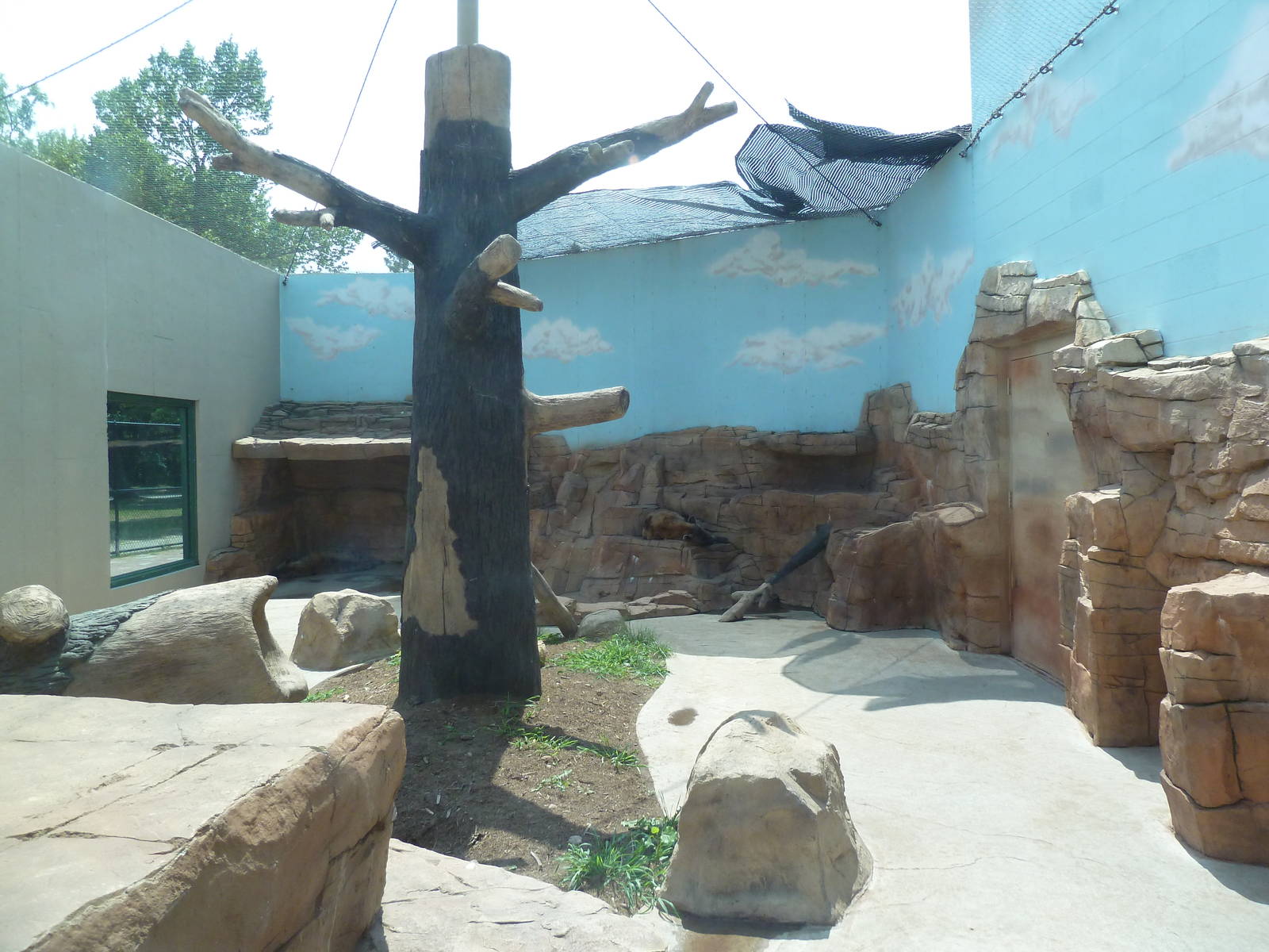 Spotted Hyena Exhibit