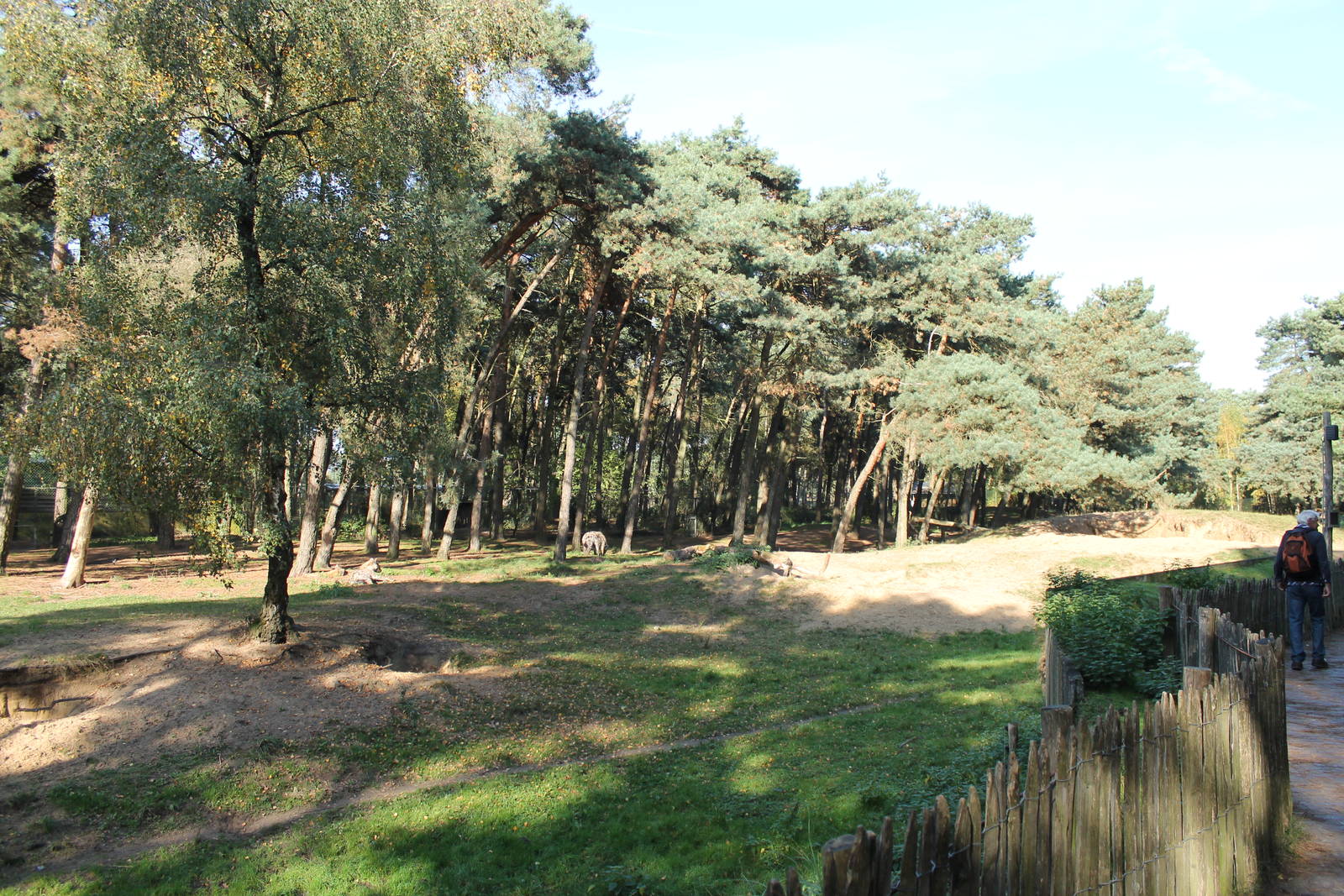 Spotted hyena exhibit