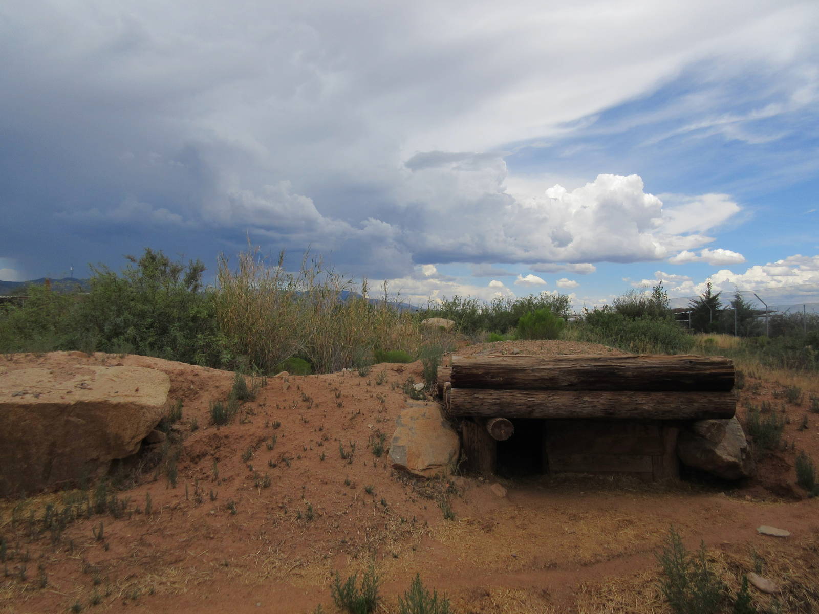 Spotted Hyena Exhibit