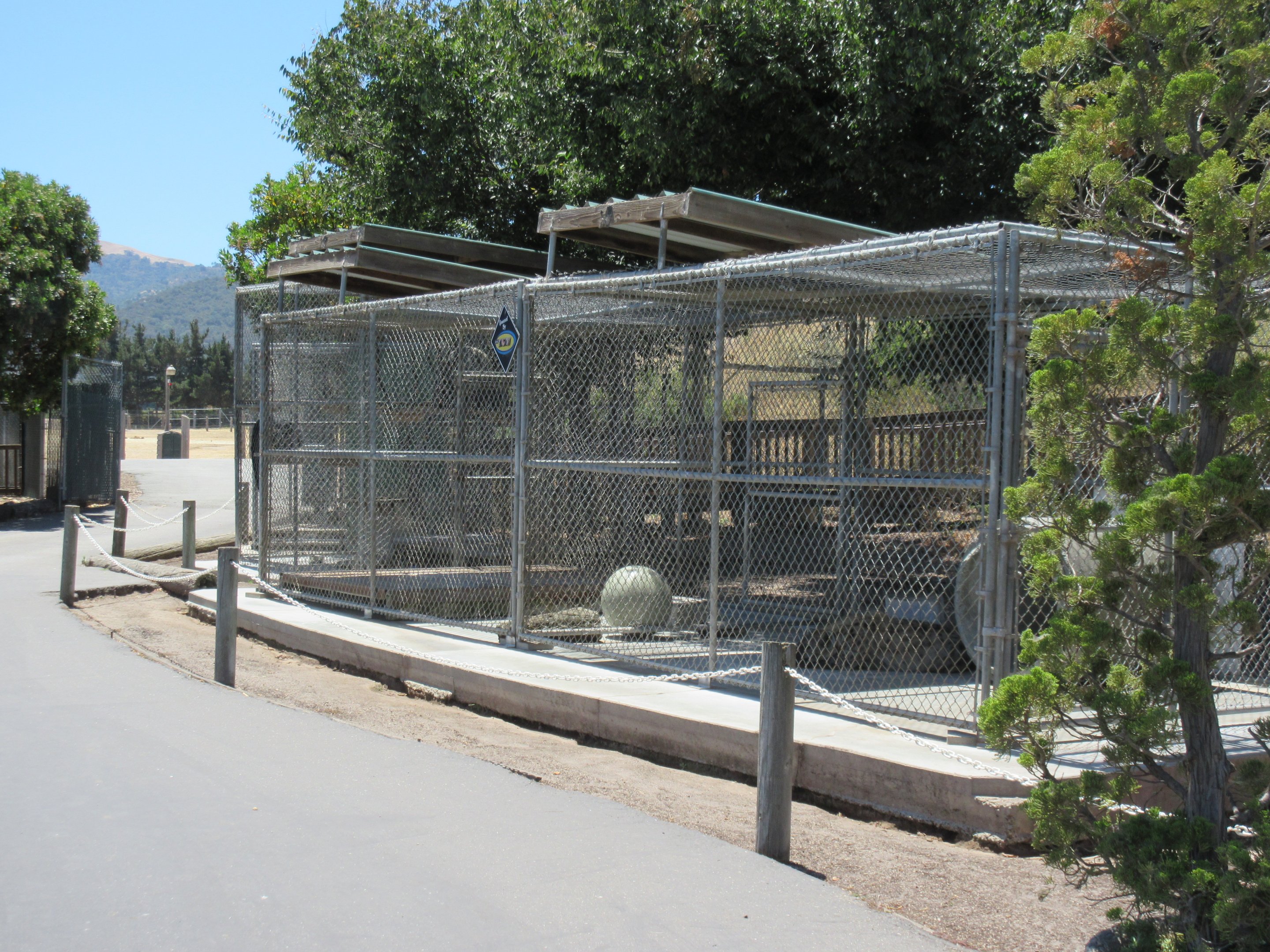 Spotted Hyena Exhibit