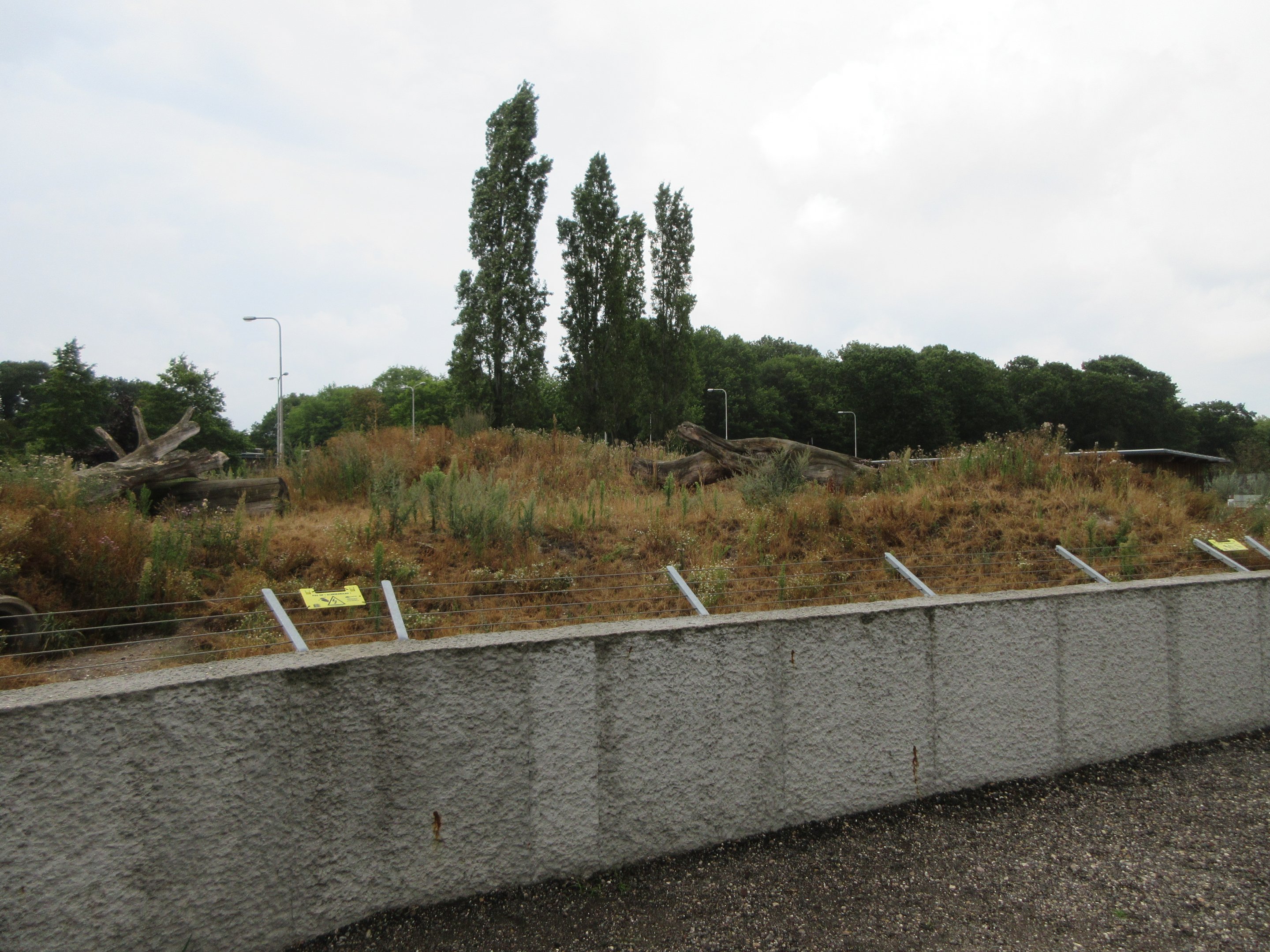 Spotted Hyena Exhibit