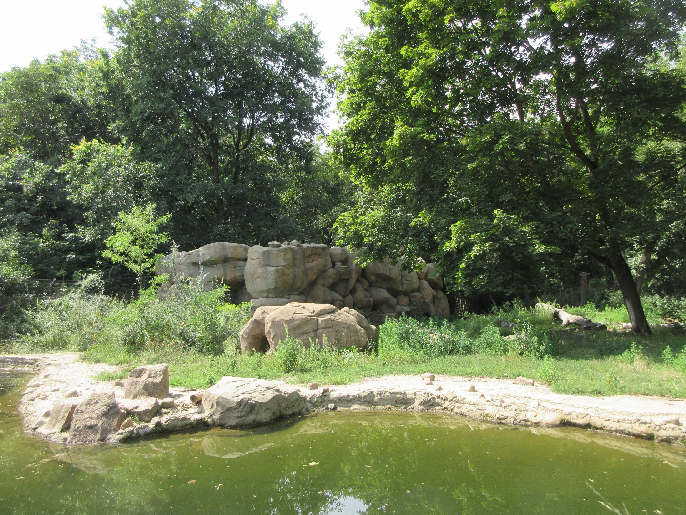 Spotted Hyena Exhibit