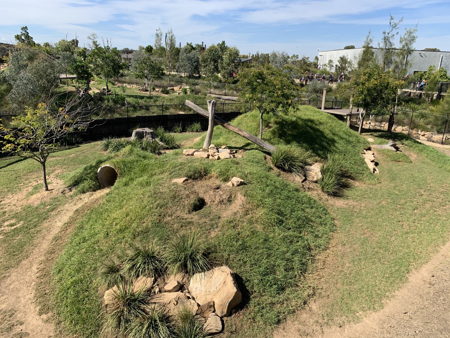 Spotted Hyena Exhibit