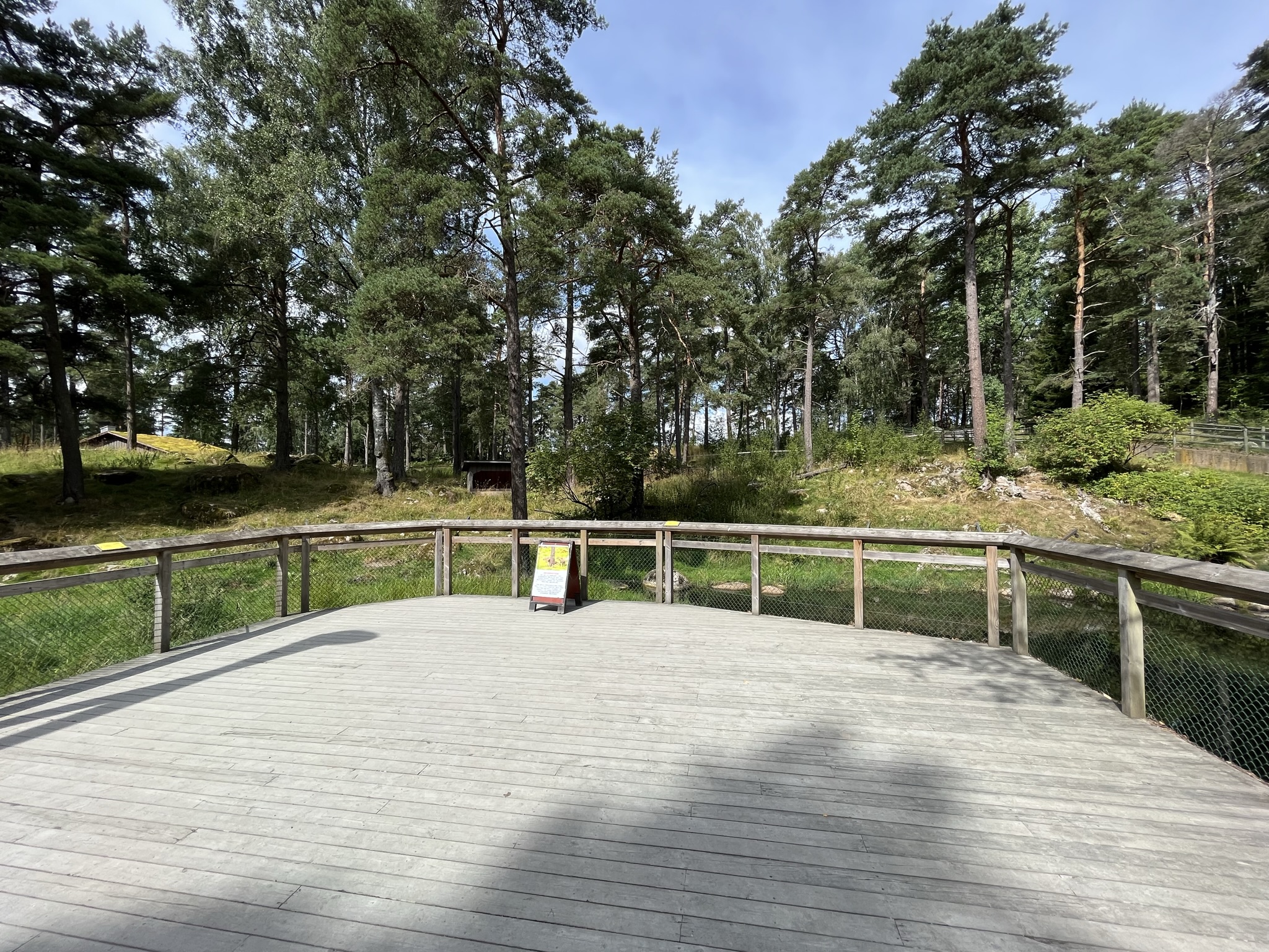 Spotted Hyena Exhibit