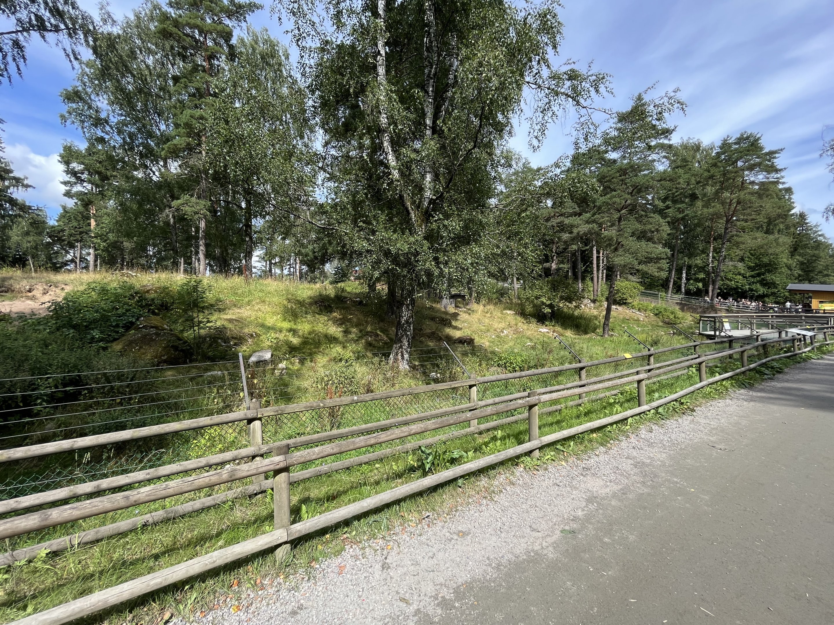 Spotted Hyena Exhibit