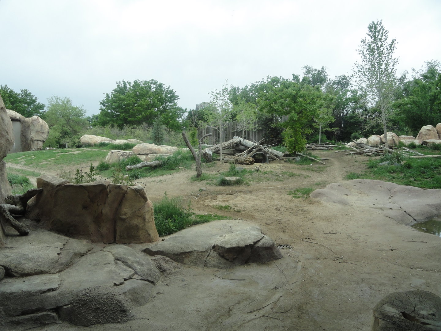 Spotted Hyena Exhibit