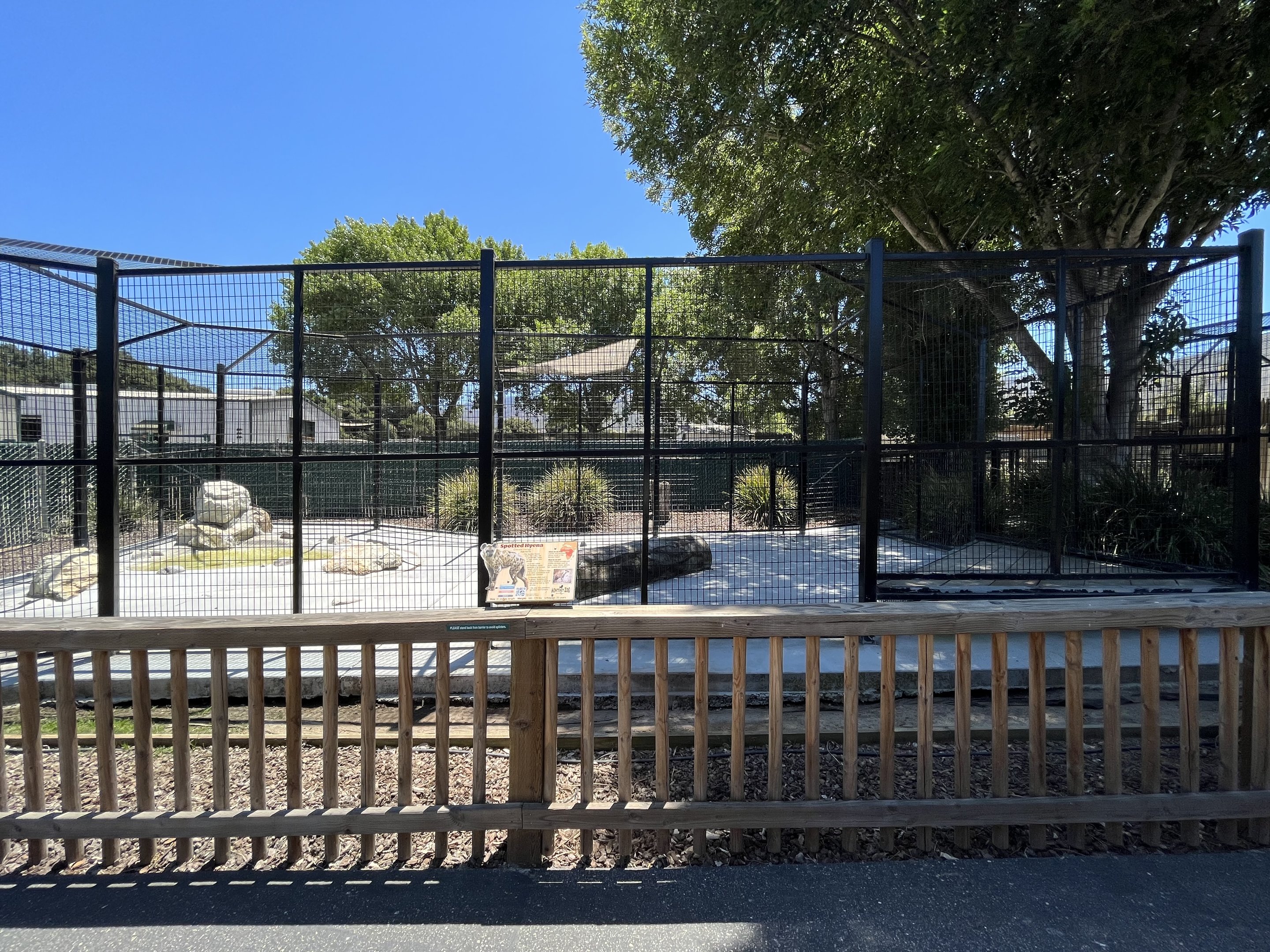 Spotted Hyena Exhibit