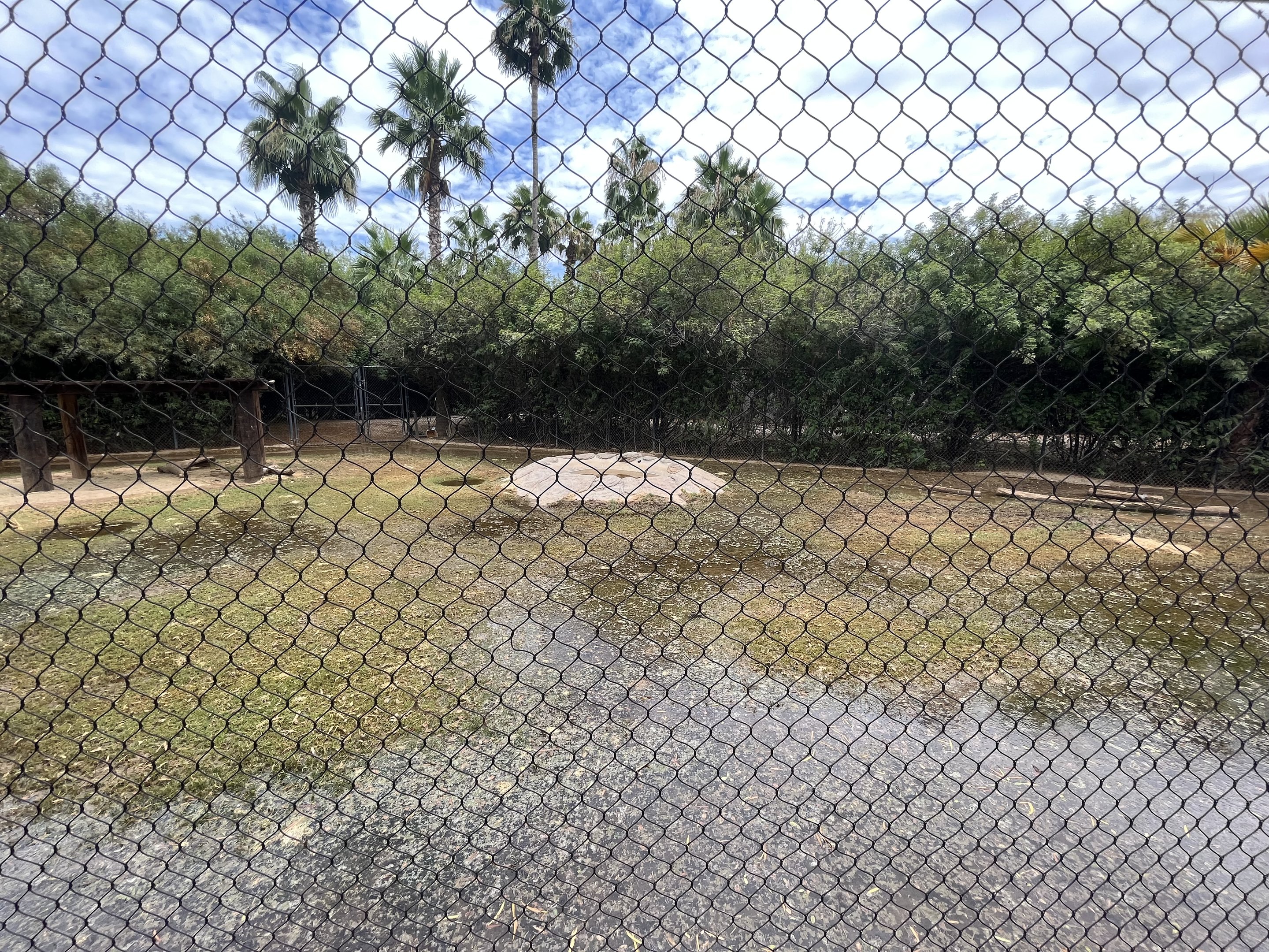 Spotted Hyena Exhibit