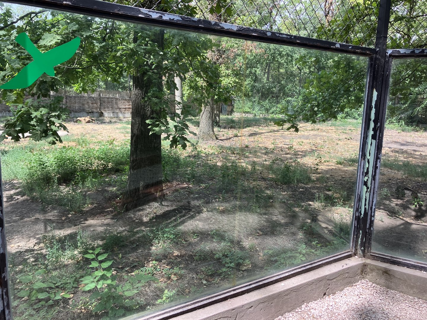 Spotted hyena exhibit