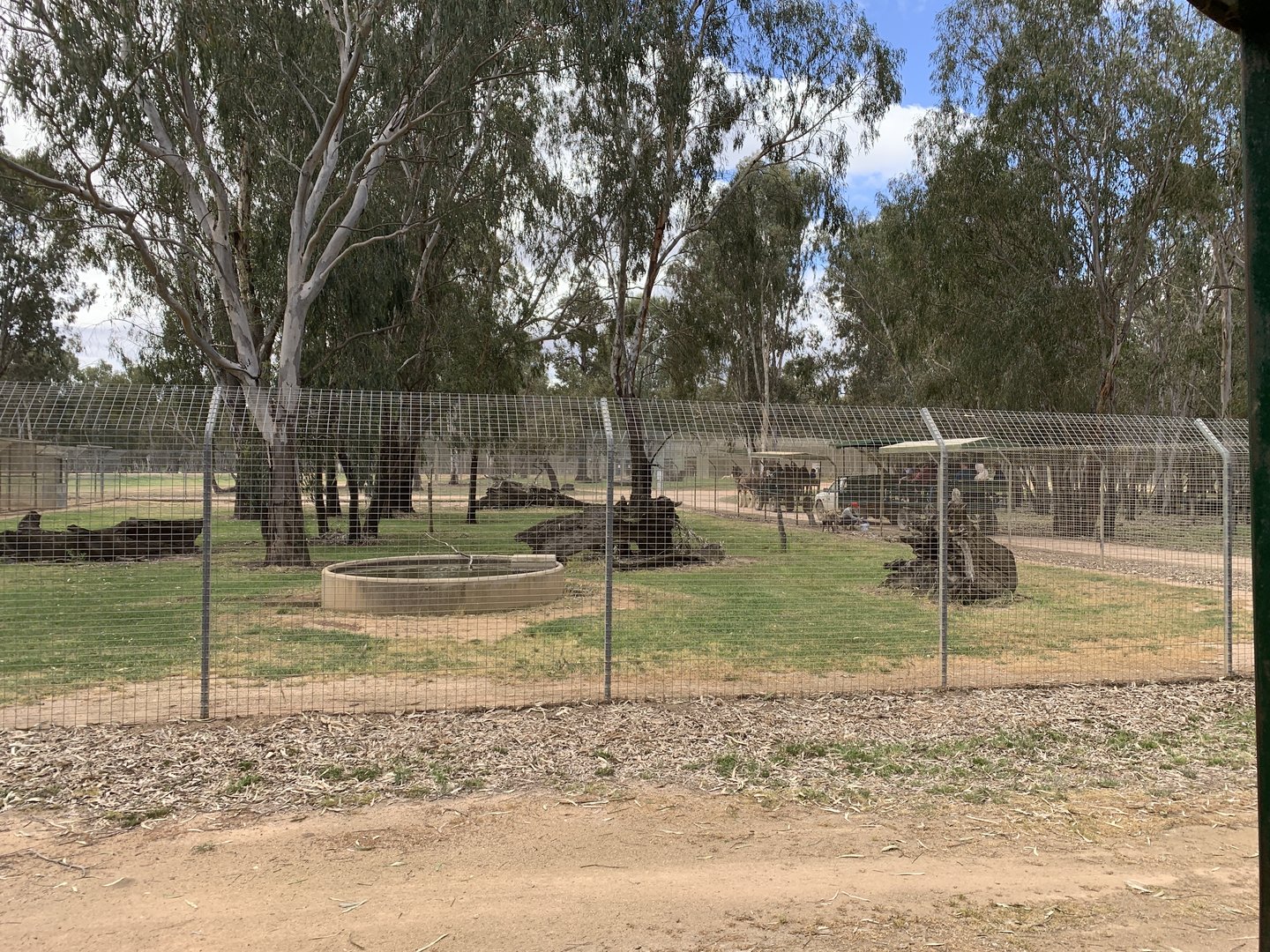 Spotted Hyena Exhibit