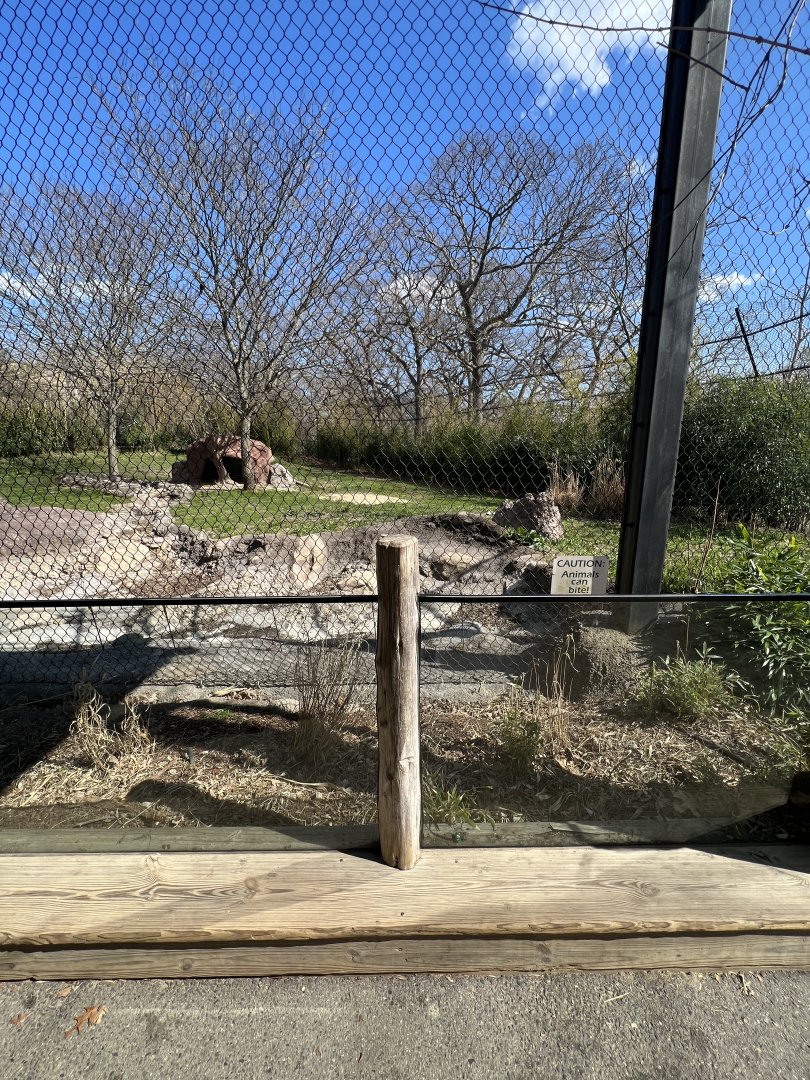 Spotted Hyena Exhibit