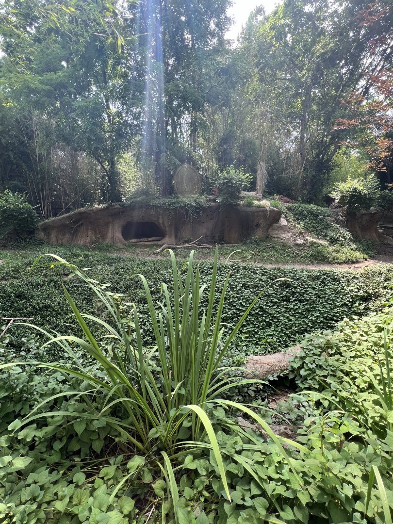 Spotted Hyena Exhibit