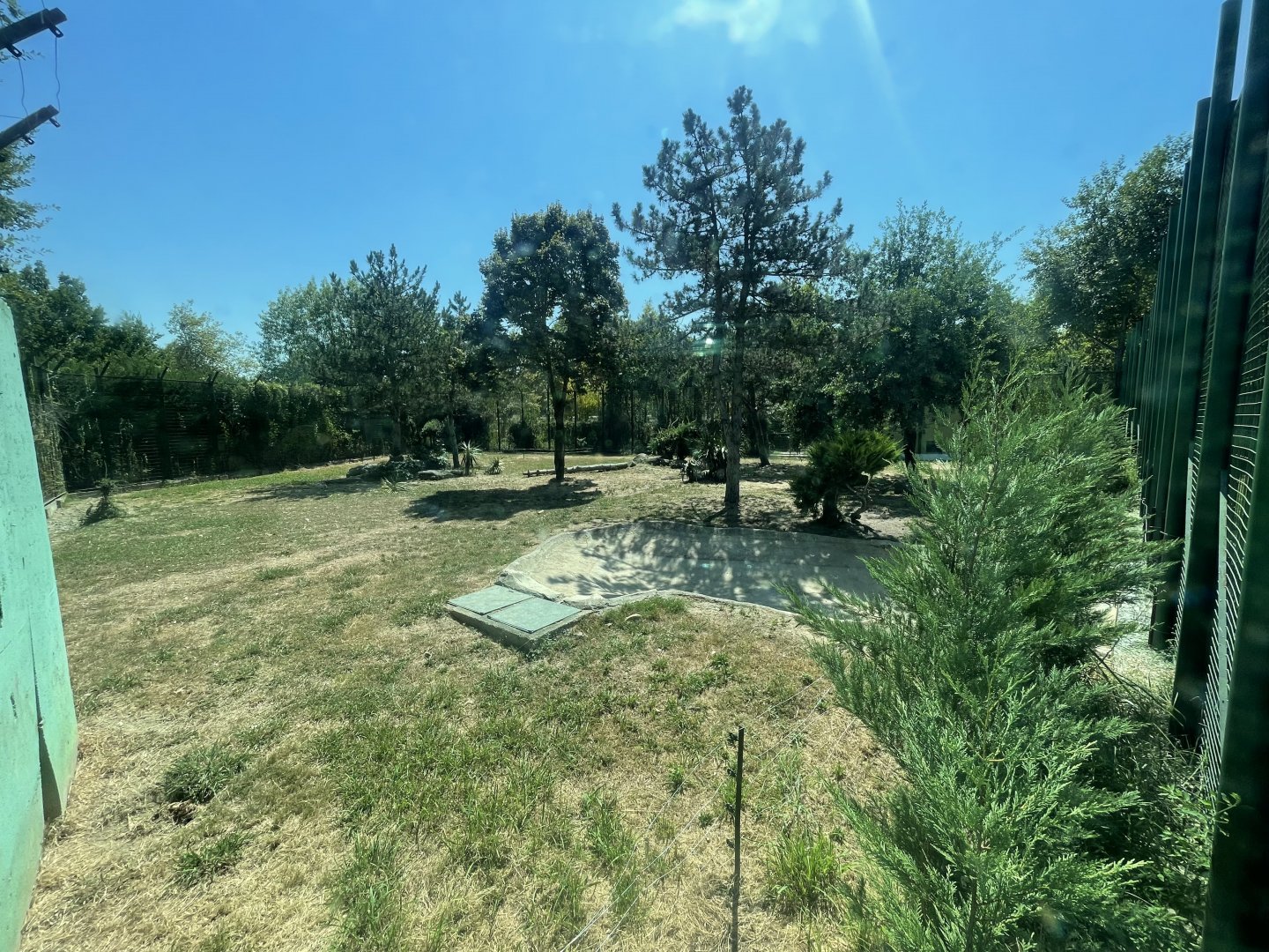 Spotted hyena exhibit