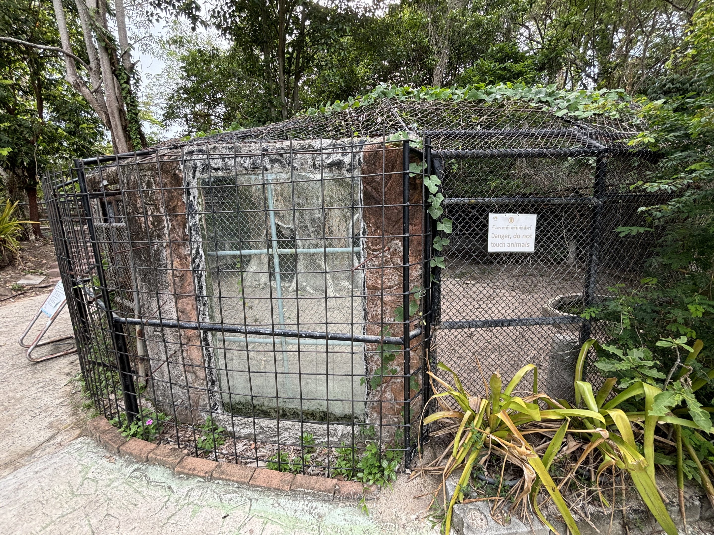 Spotted Hyena Exhibit
