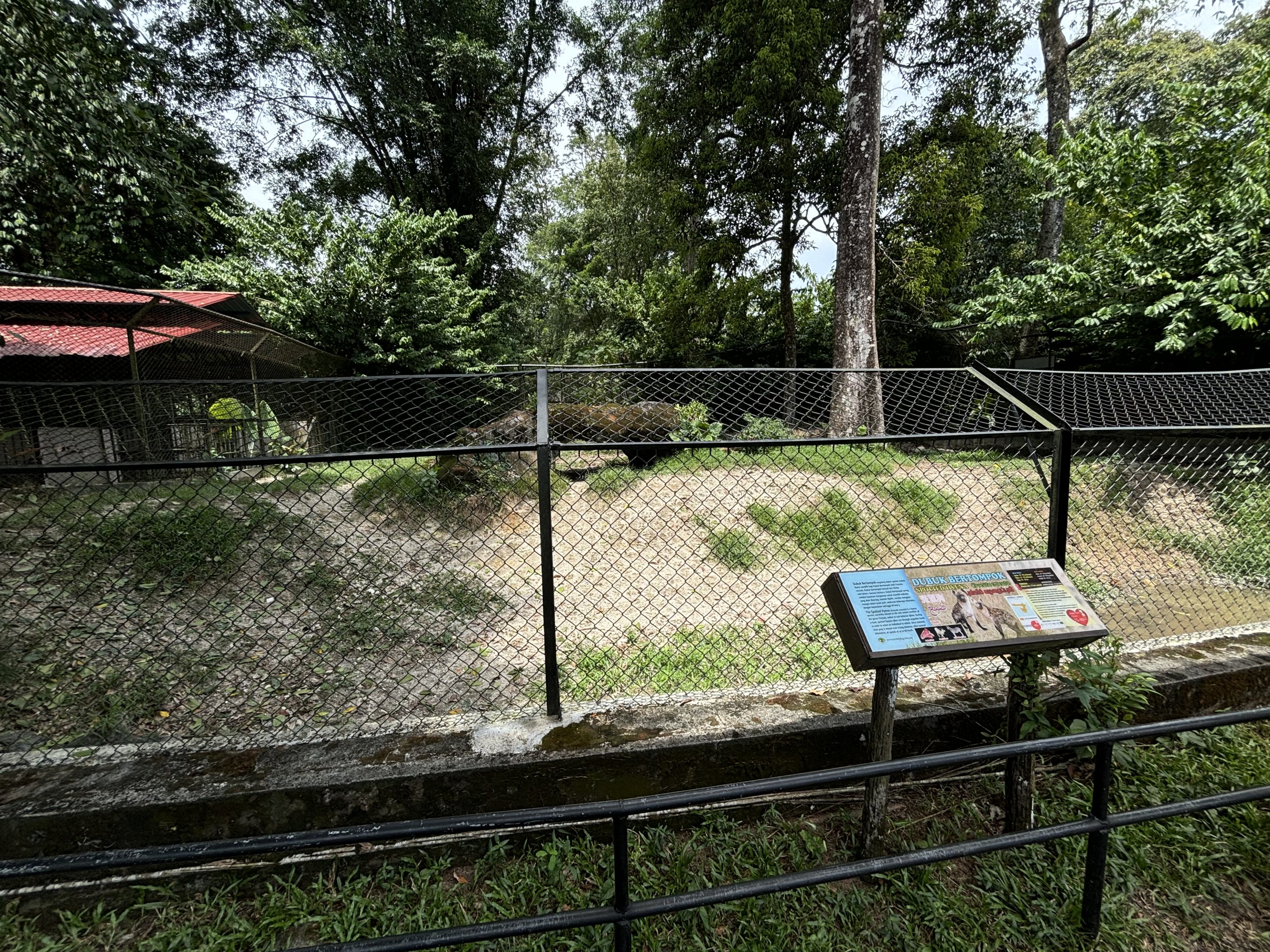 Spotted Hyena Exhibit