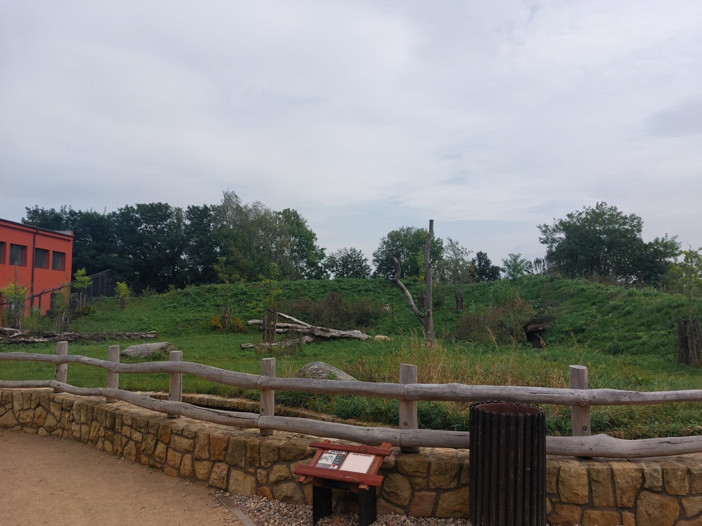 Spotted hyena exhibit