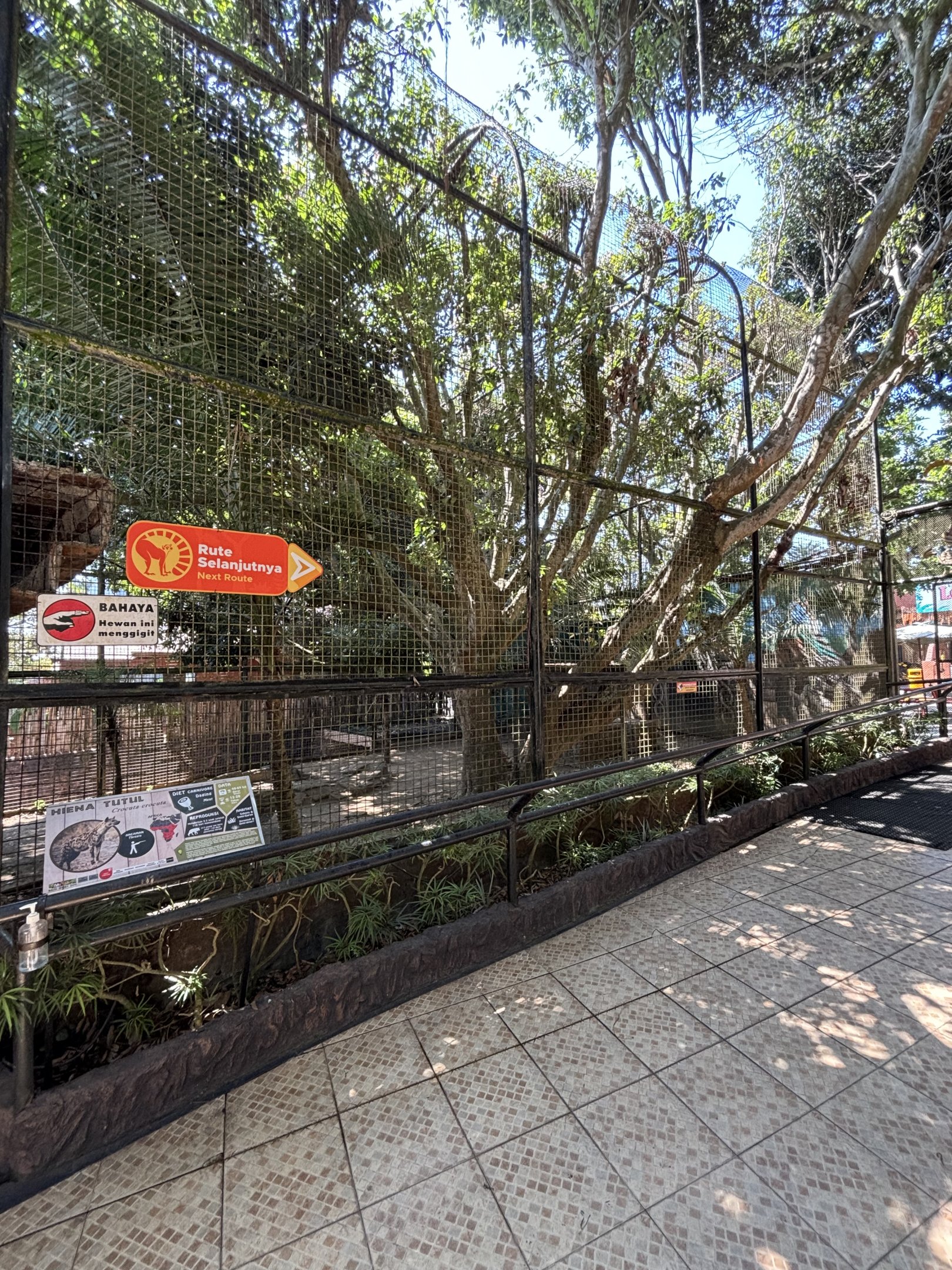 Spotted Hyena Exhibit