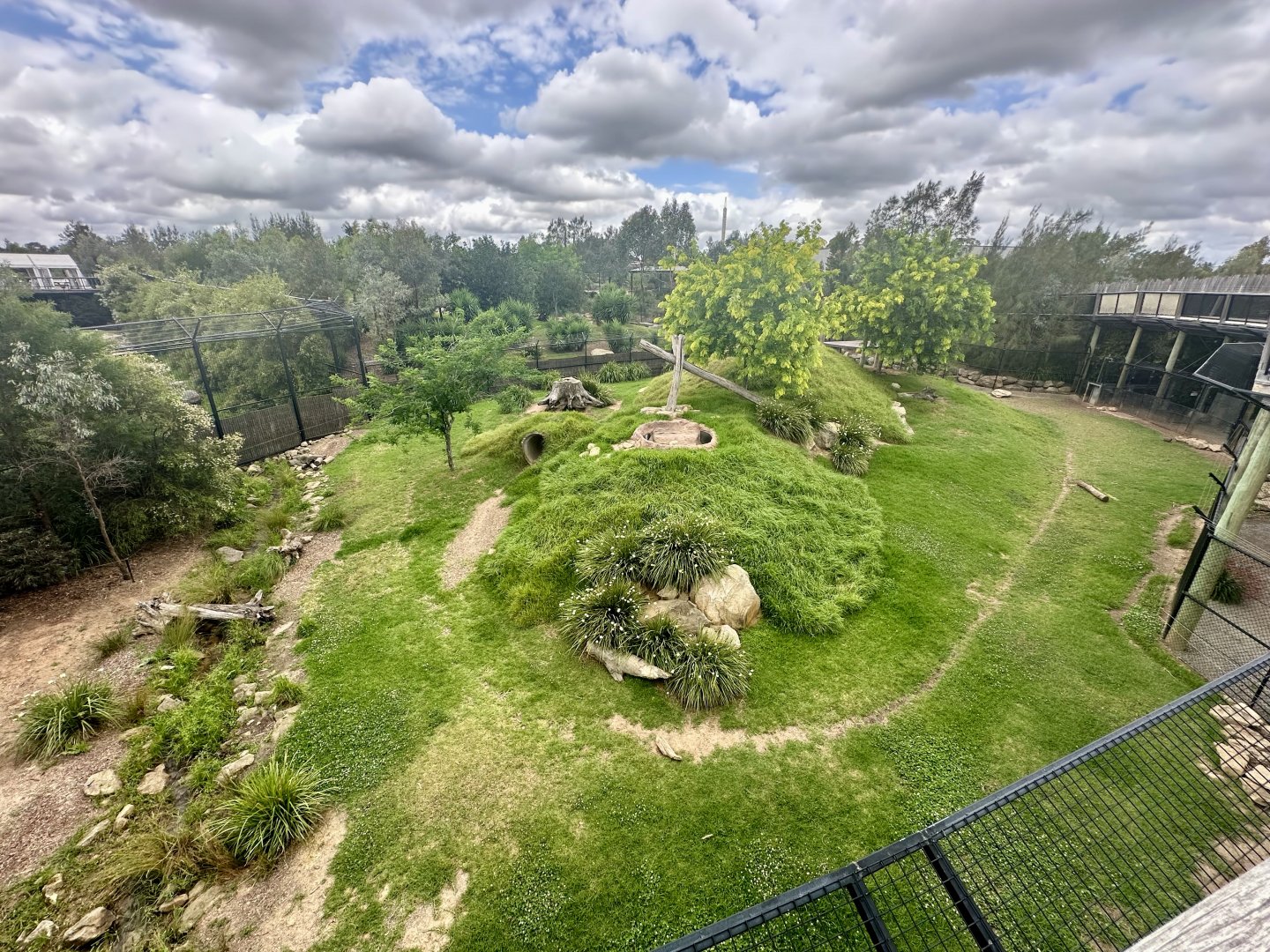 Spotted Hyena Exhibit