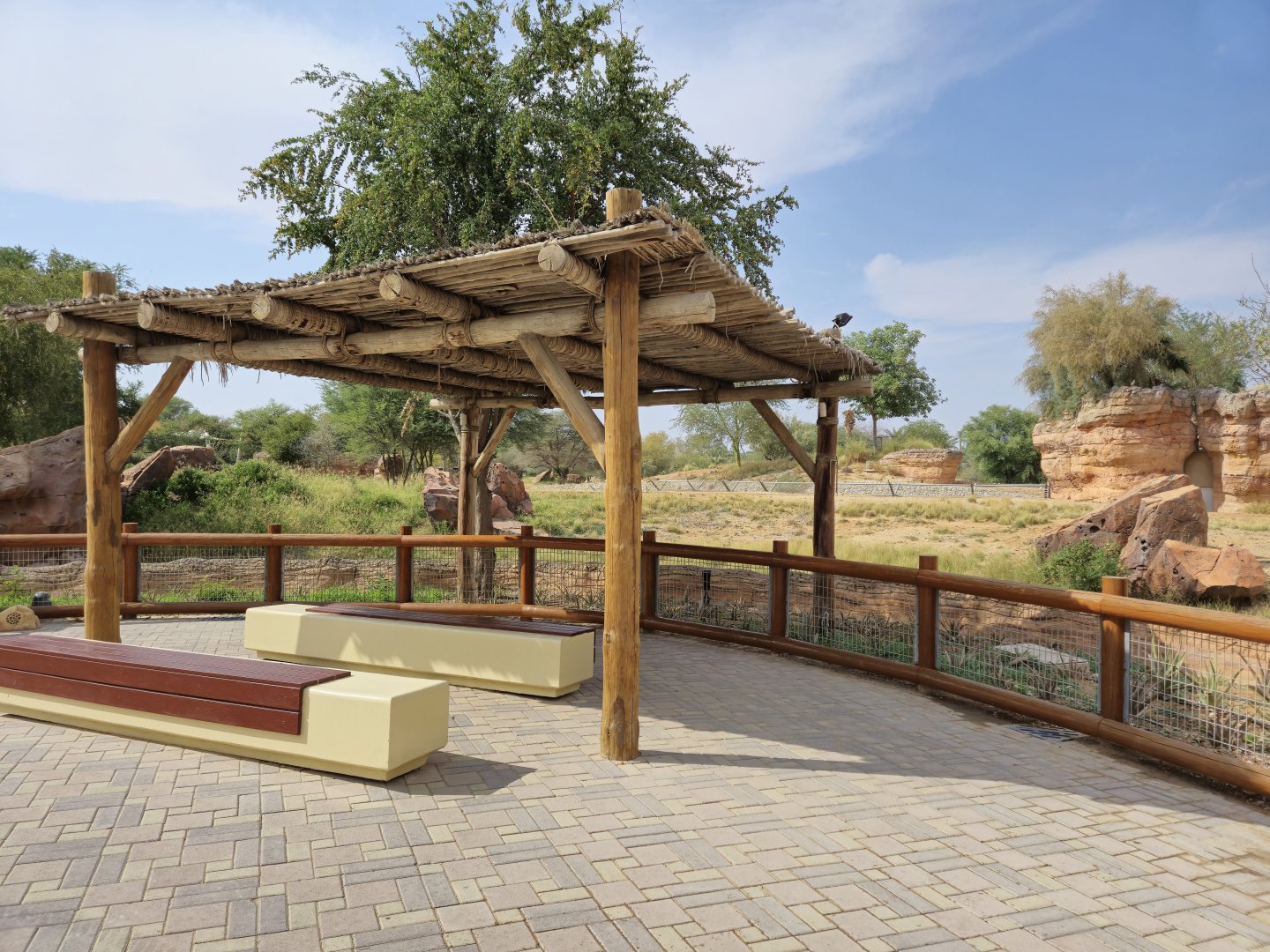 Spotted Hyena exhibit