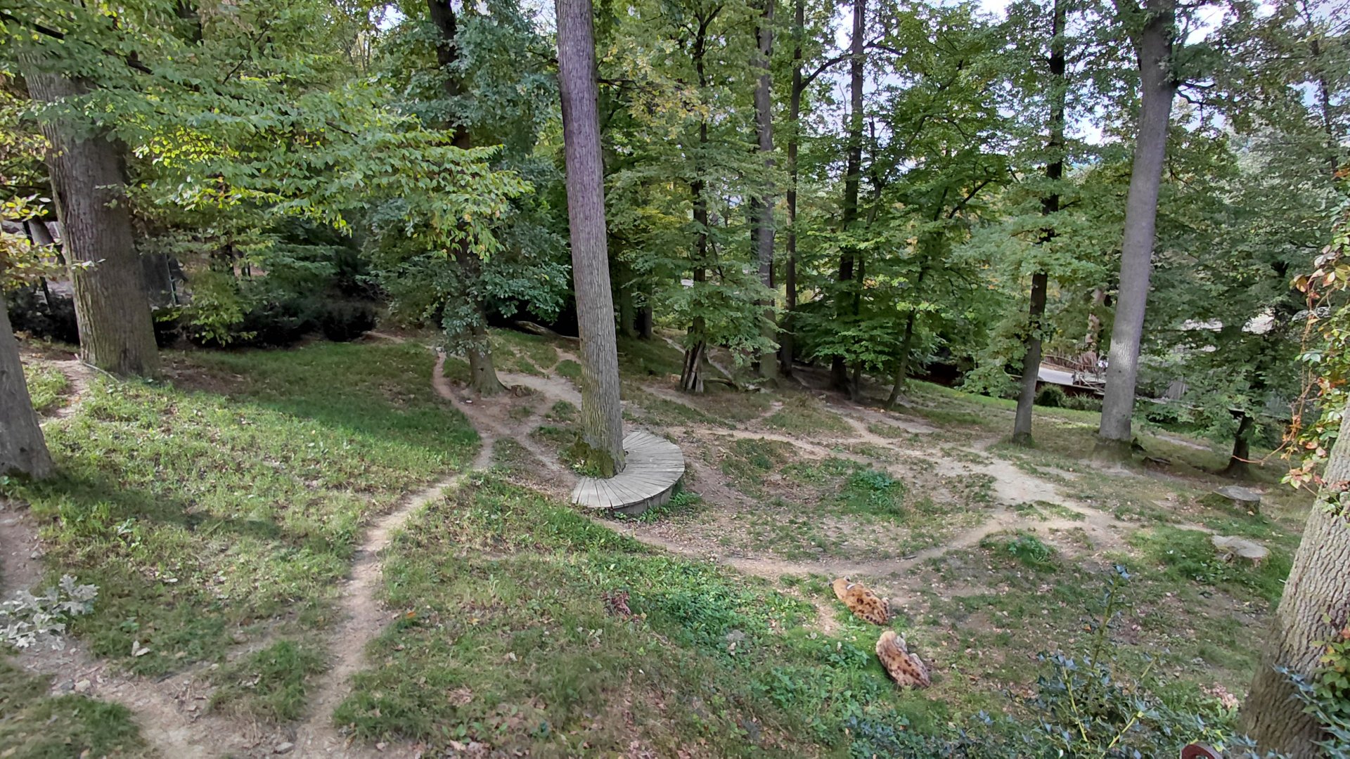 Spotted hyena exhibit