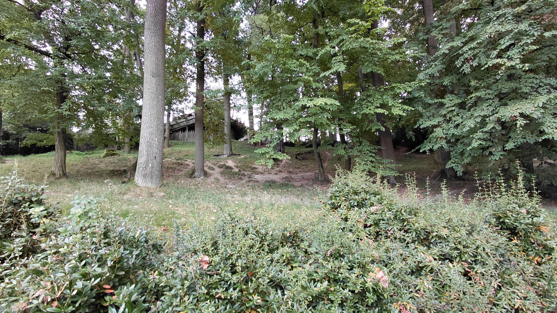 Spotted hyena exhibit