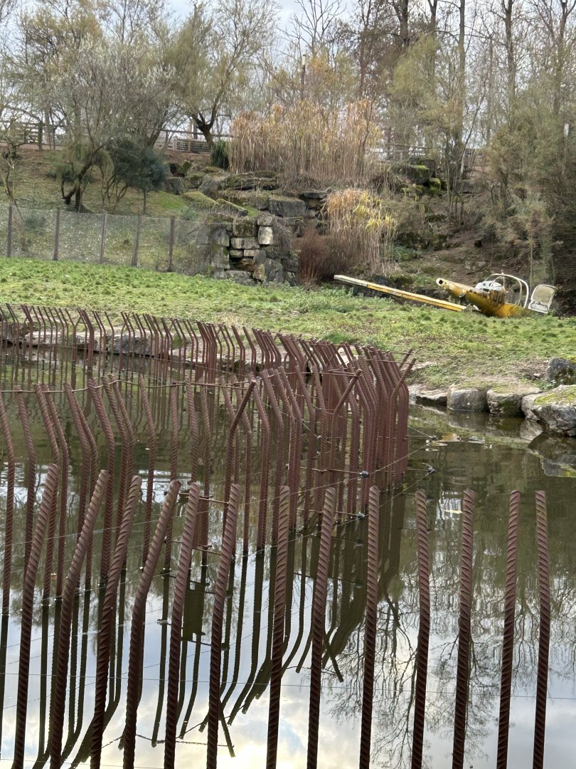 Spotted hyena exhibit