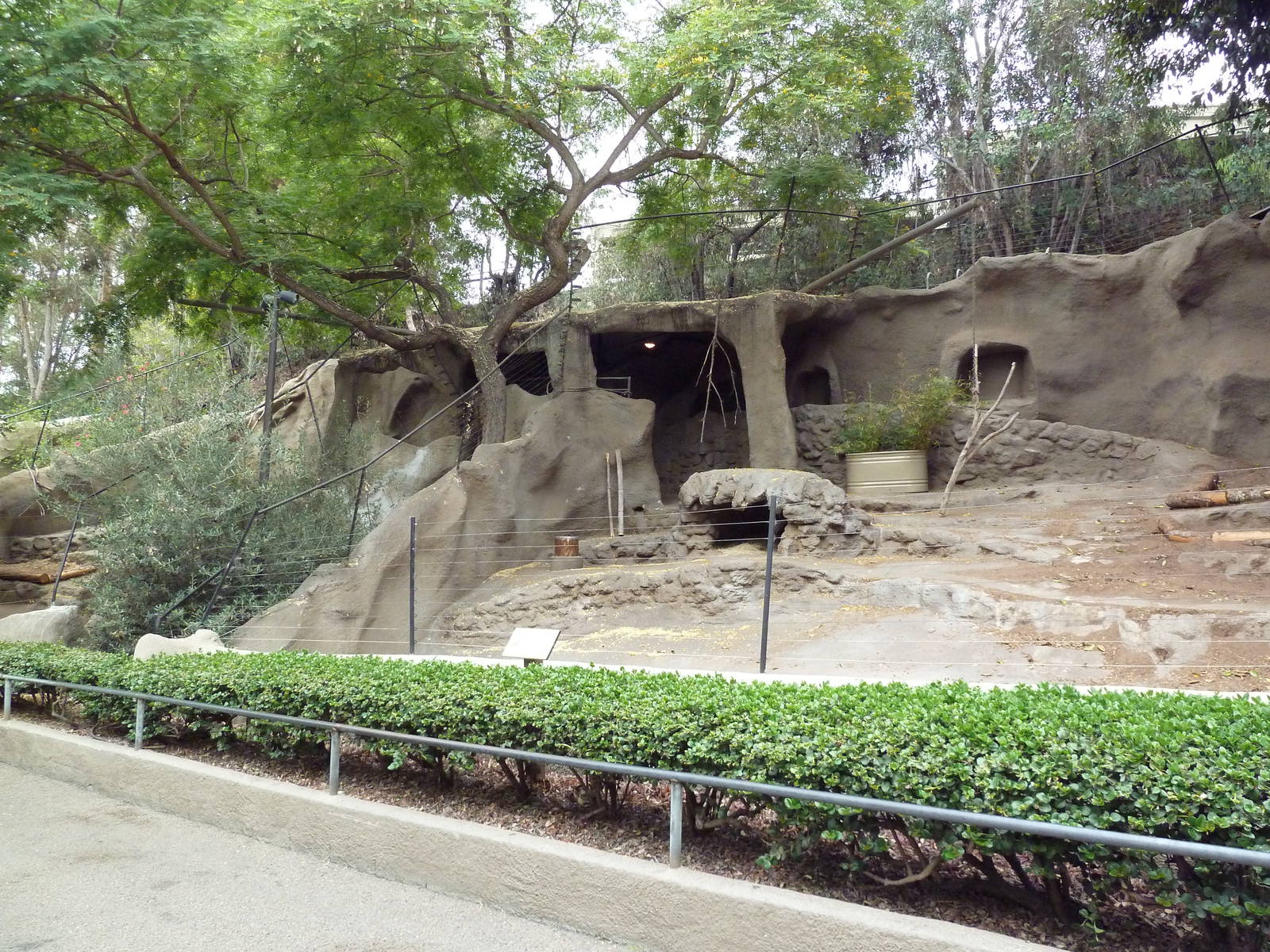 Spotted Hyena Exhibits