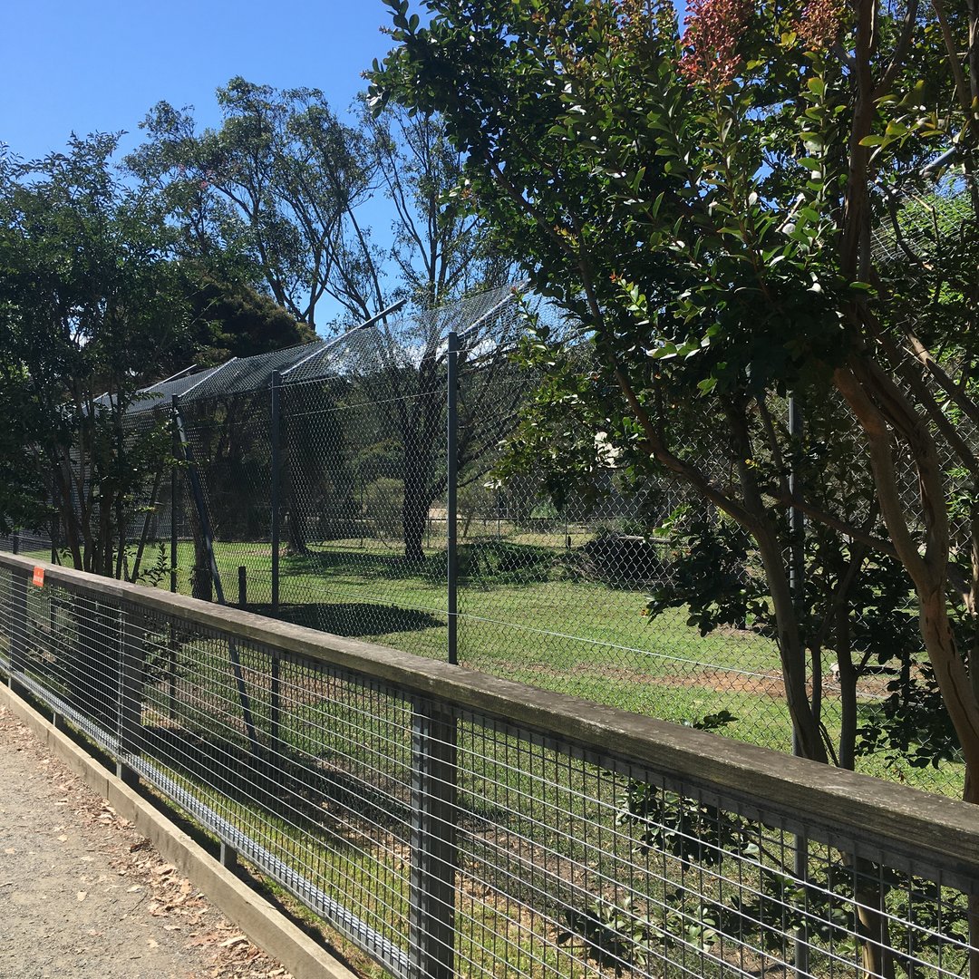Spotted Hyena (formerly lion) exhibit