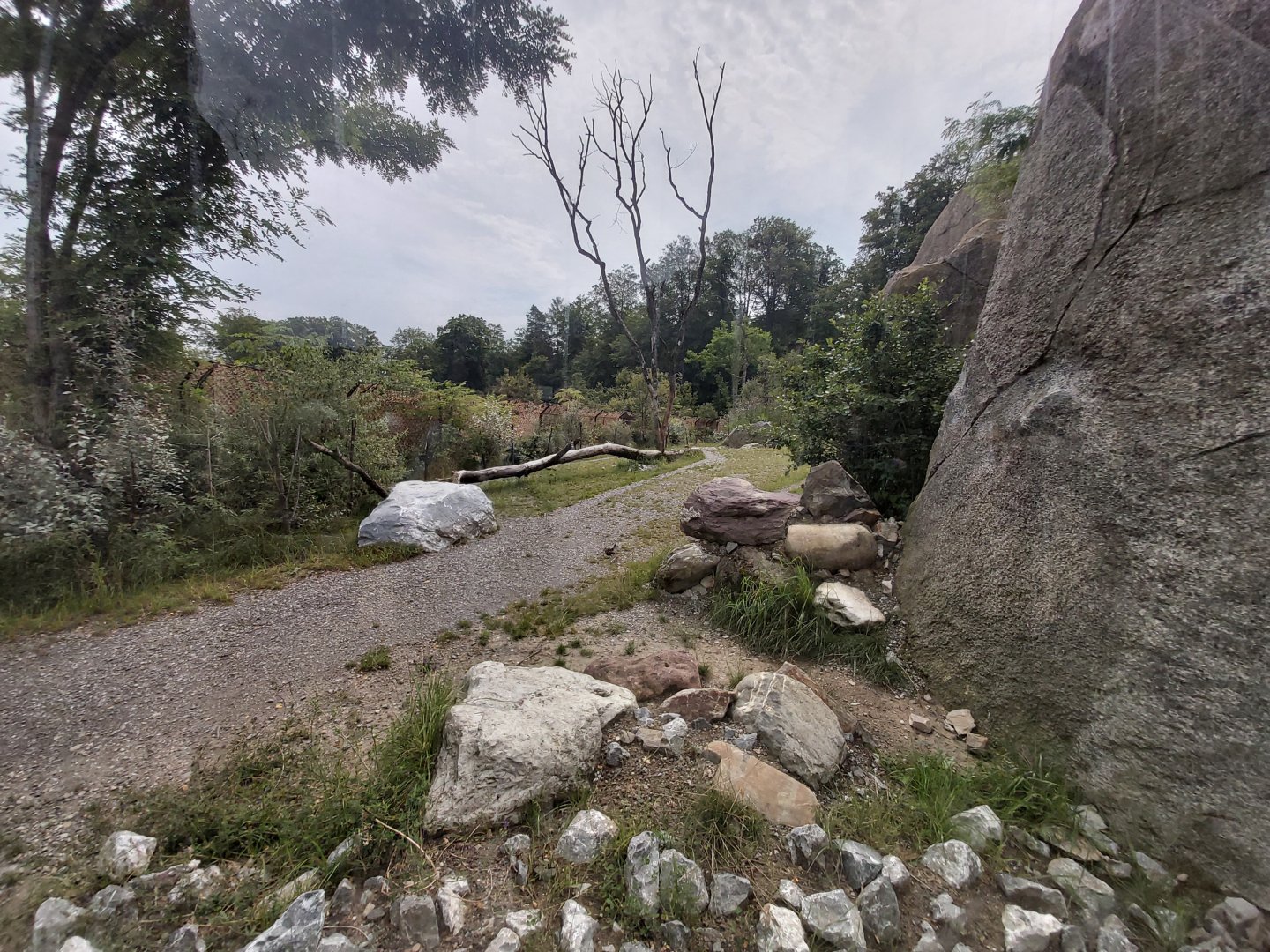 Spotted hyena second enclosure - Lewa savanna