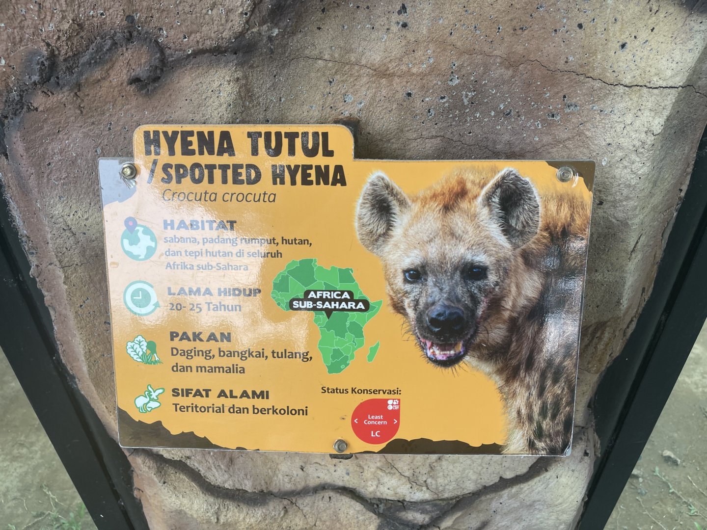 spotted hyena signage
