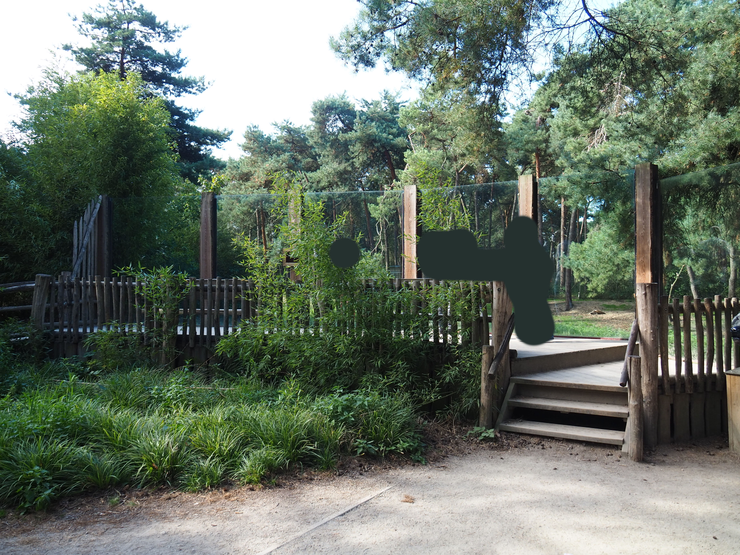 Spotted hyena viewing area, 2019-09-15