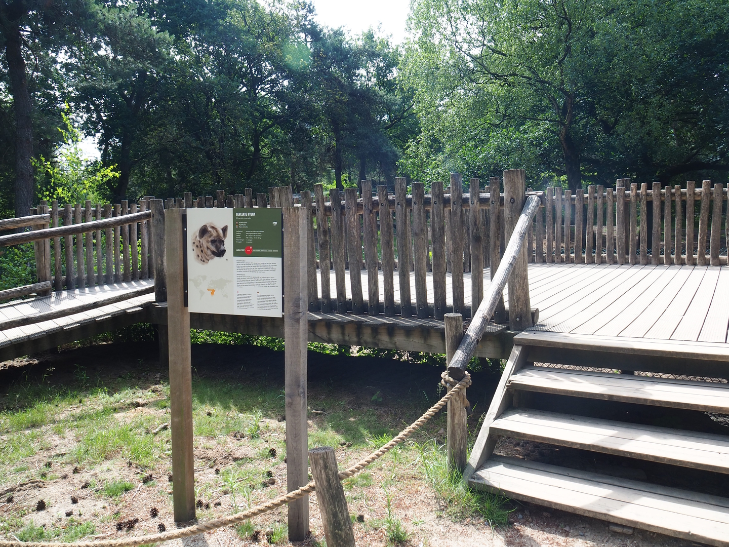 Spotted hyena viewing area, 2022-06-12