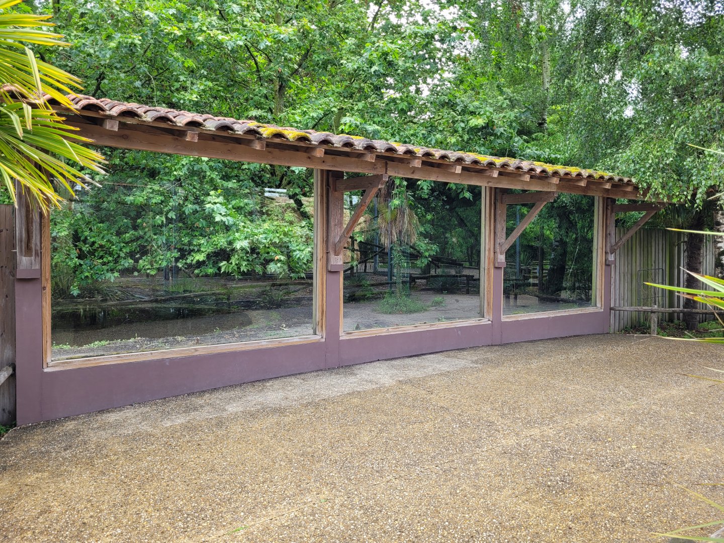 Spotted hyena viewing area -Zoo du bassin d'Arcachon (2024)