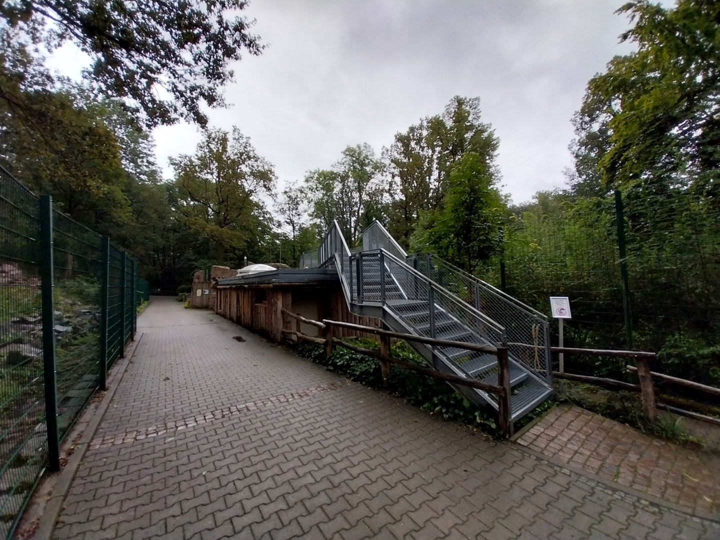 Spotted hyena viewing platform