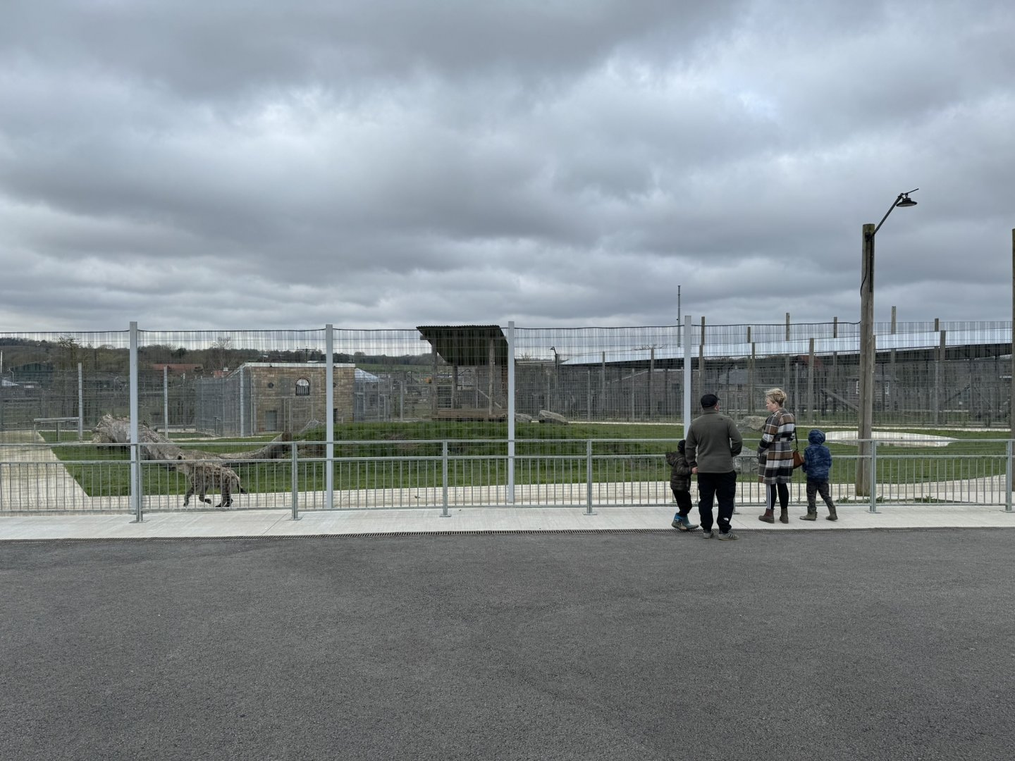 Spotted Hyenas Enclosure at Wolds Wildlife Park (March 2024)