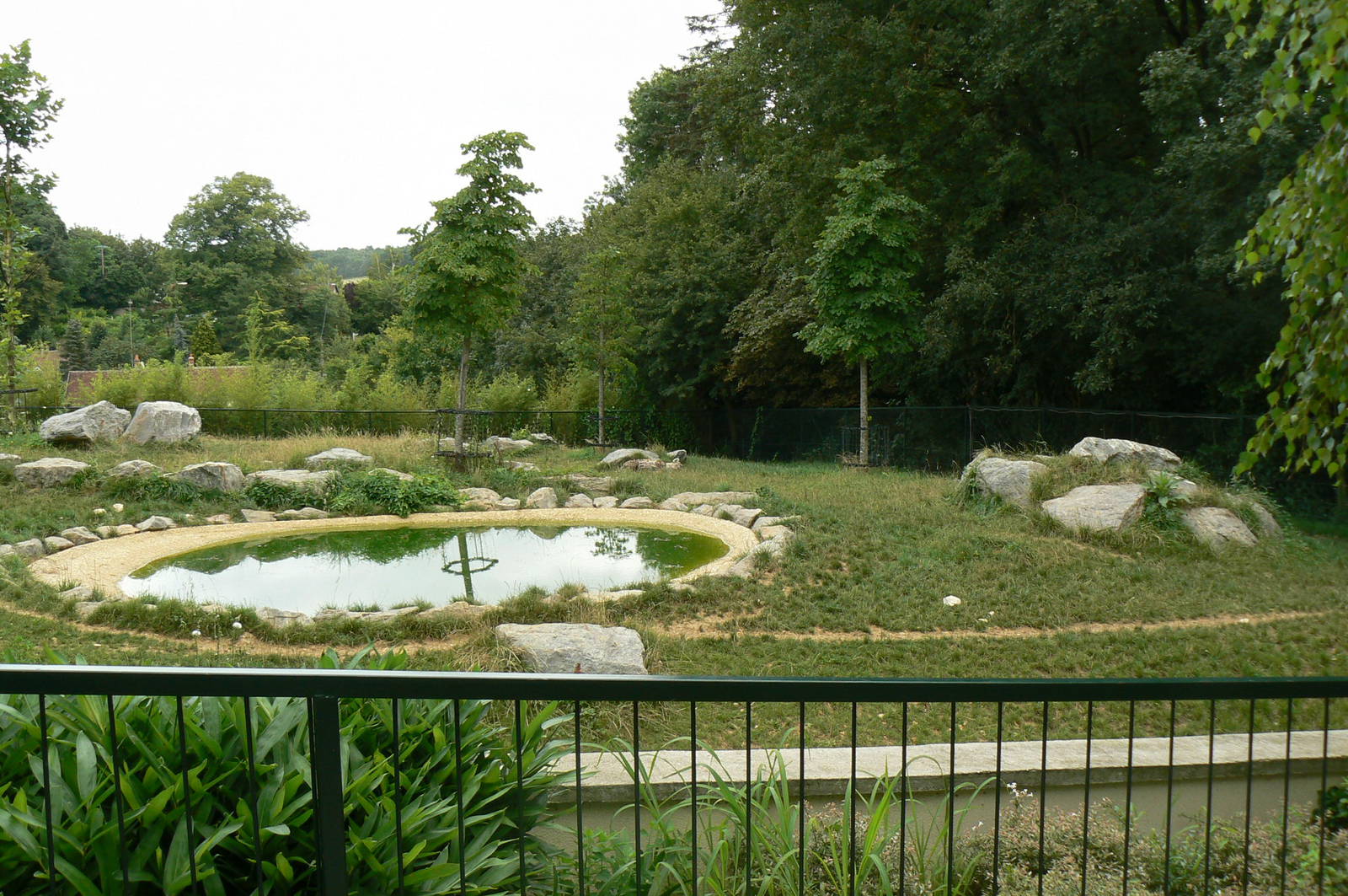 Spotted hyenas exhibit