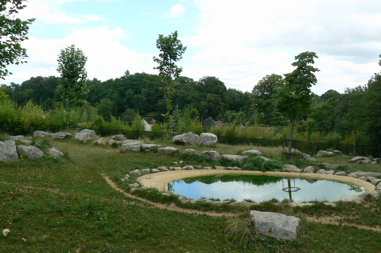 Spotted hyenas exhibit