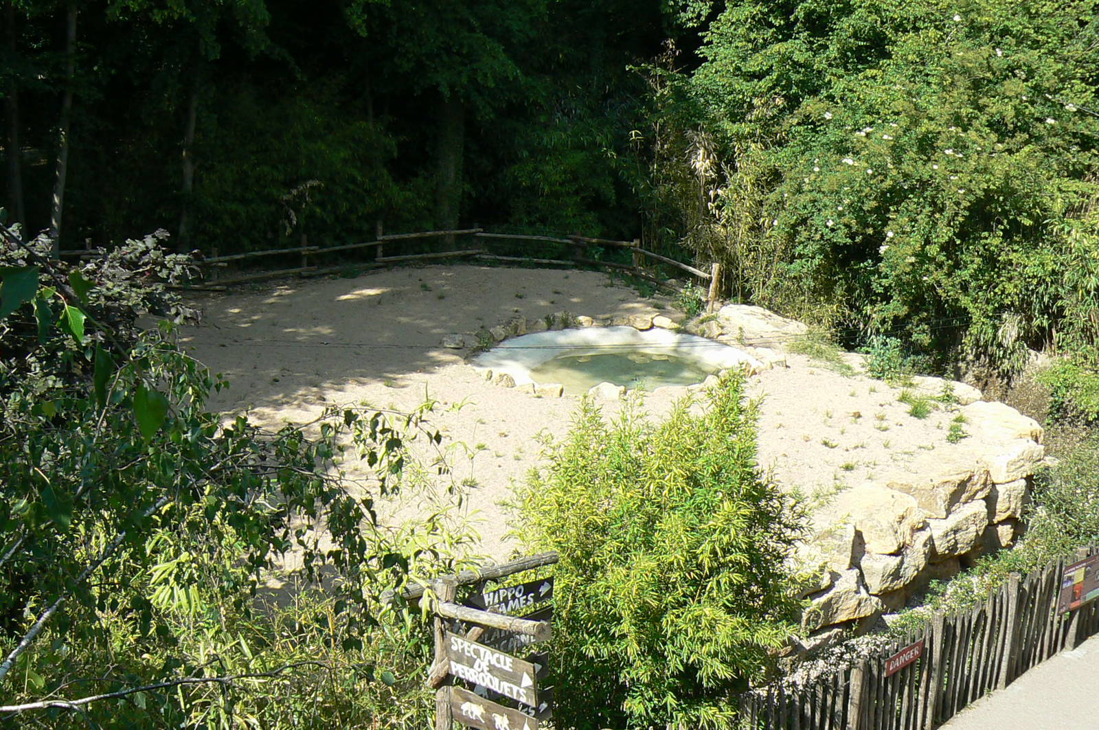 Spotted hyenas exhibit