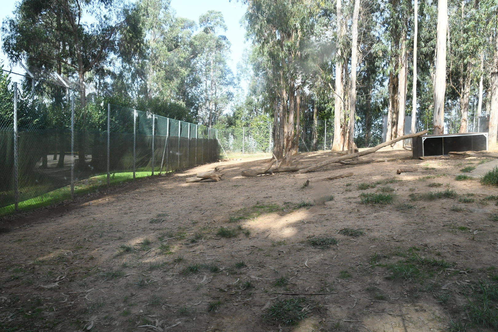 Spotted Hyenas exhibit