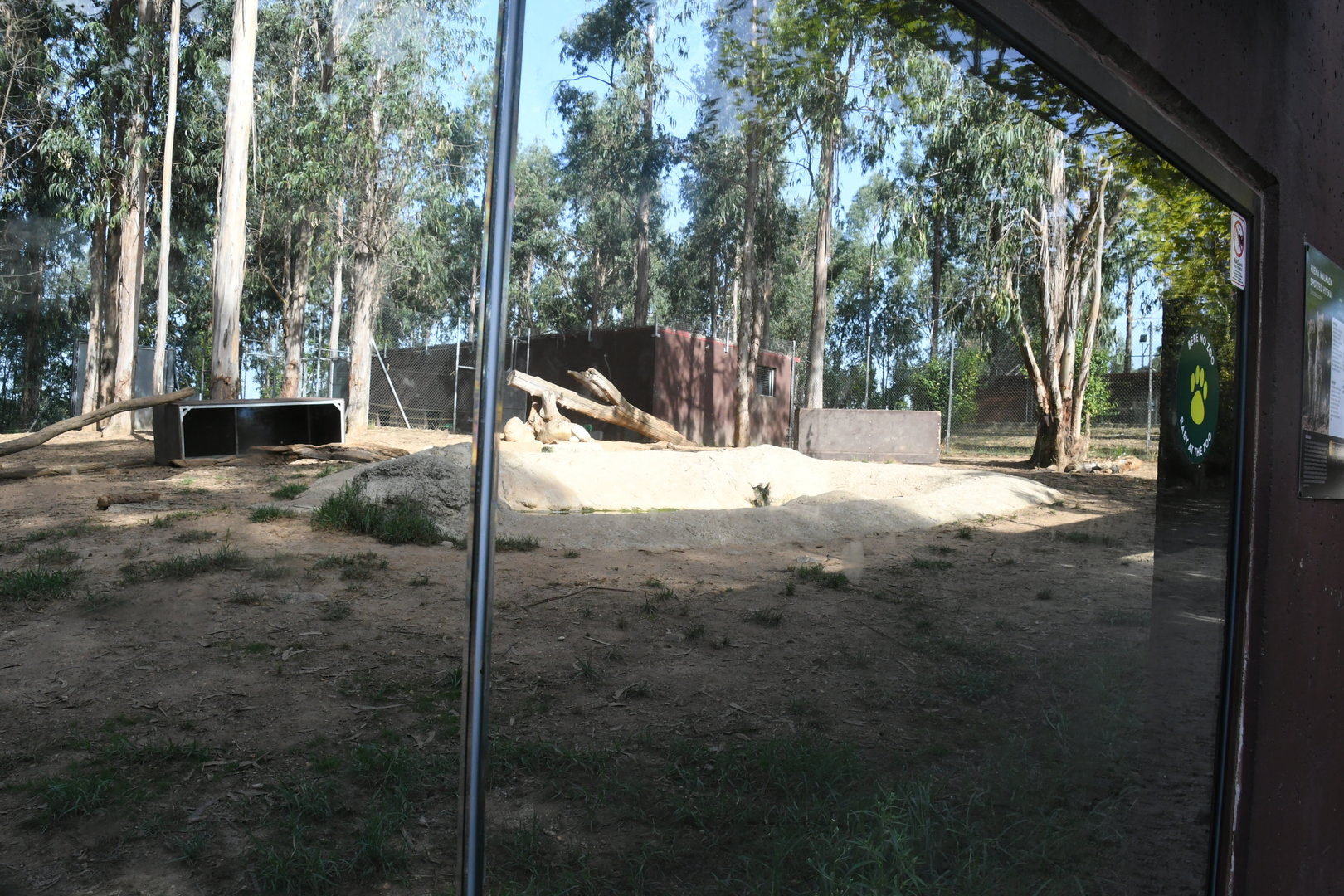 Spotted Hyenas exhibit