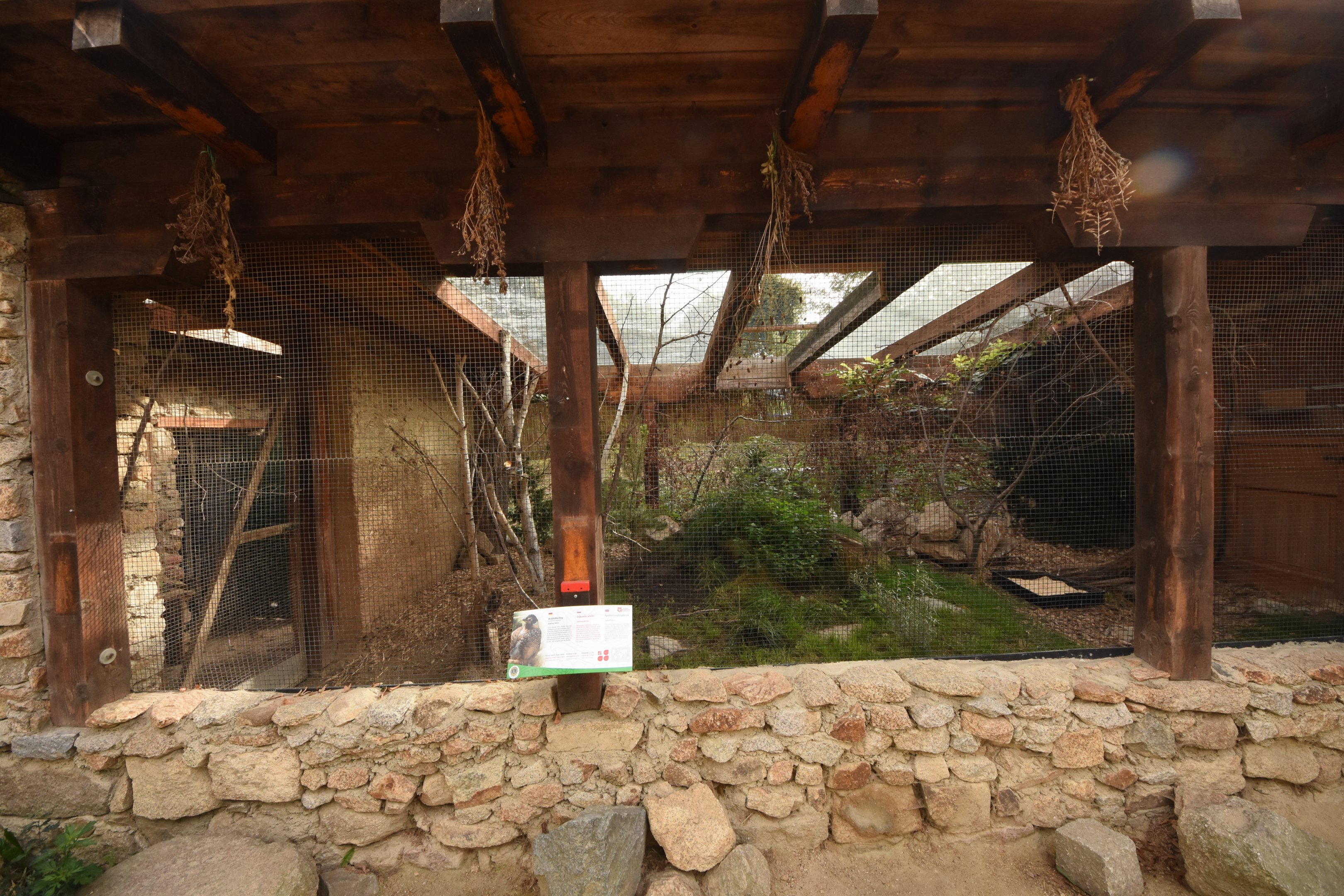 Spotted laughingthrush aviary