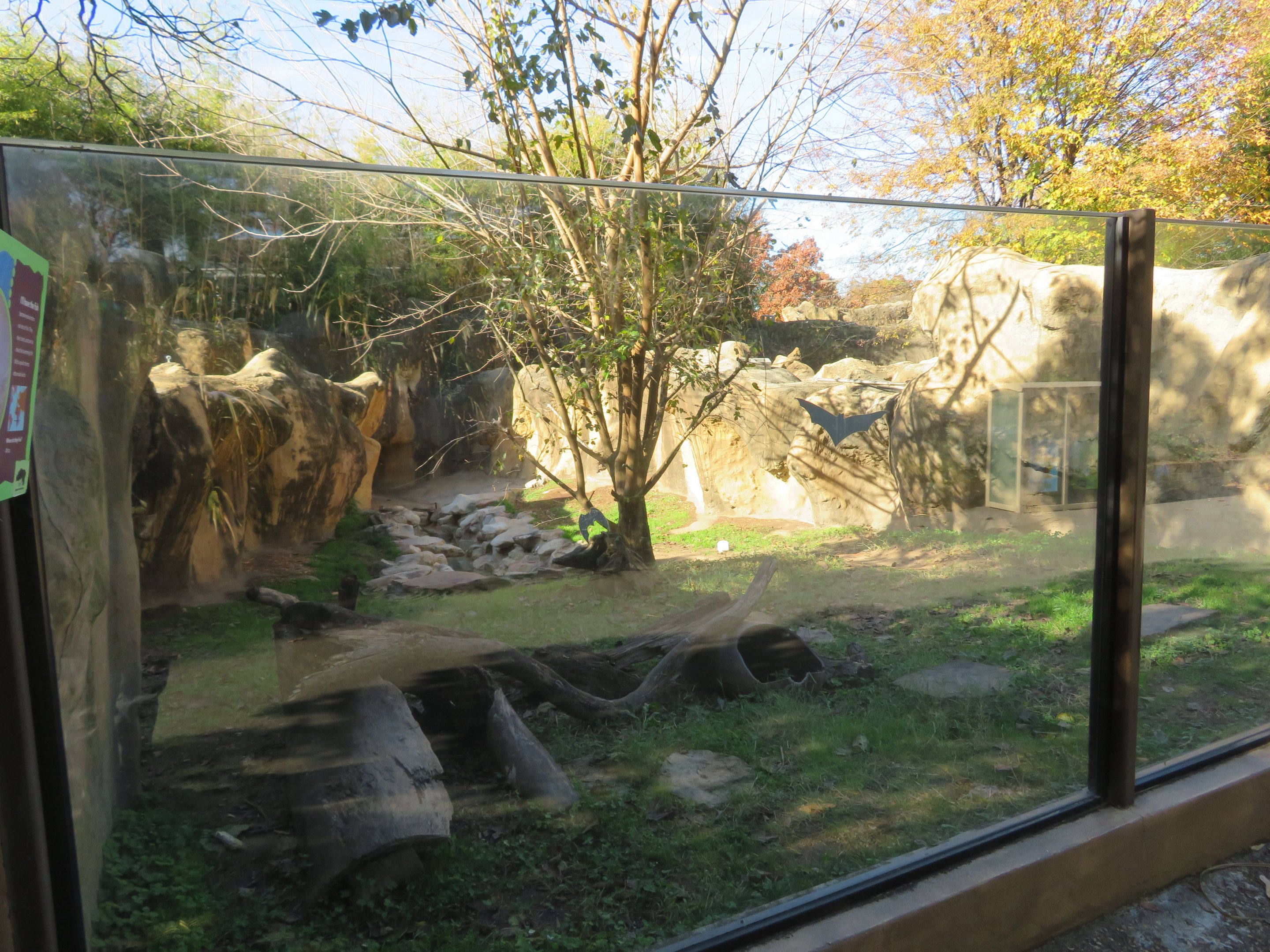 Spotted-necked Otter Exhibit