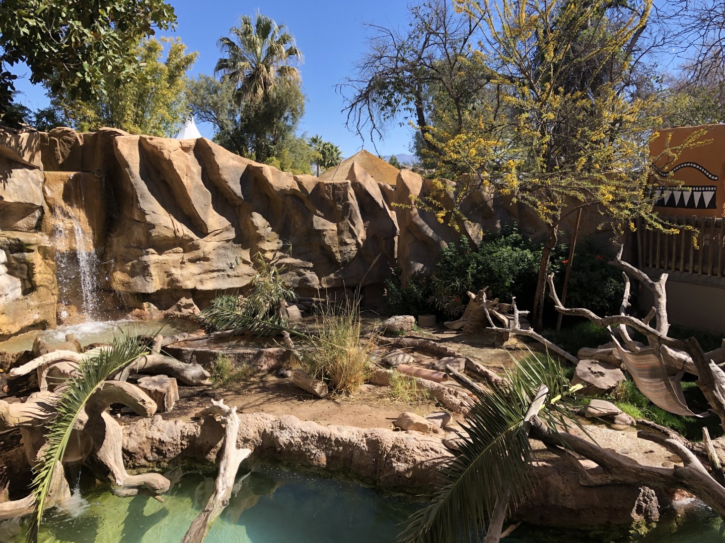 Spotted-necked Otter Exhibit