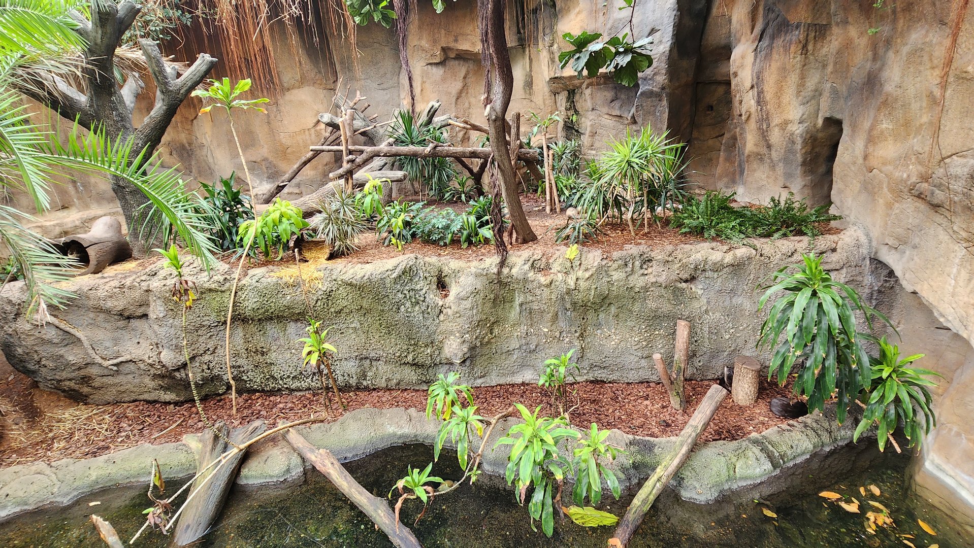 Spotted-Necked Otter Exhibit