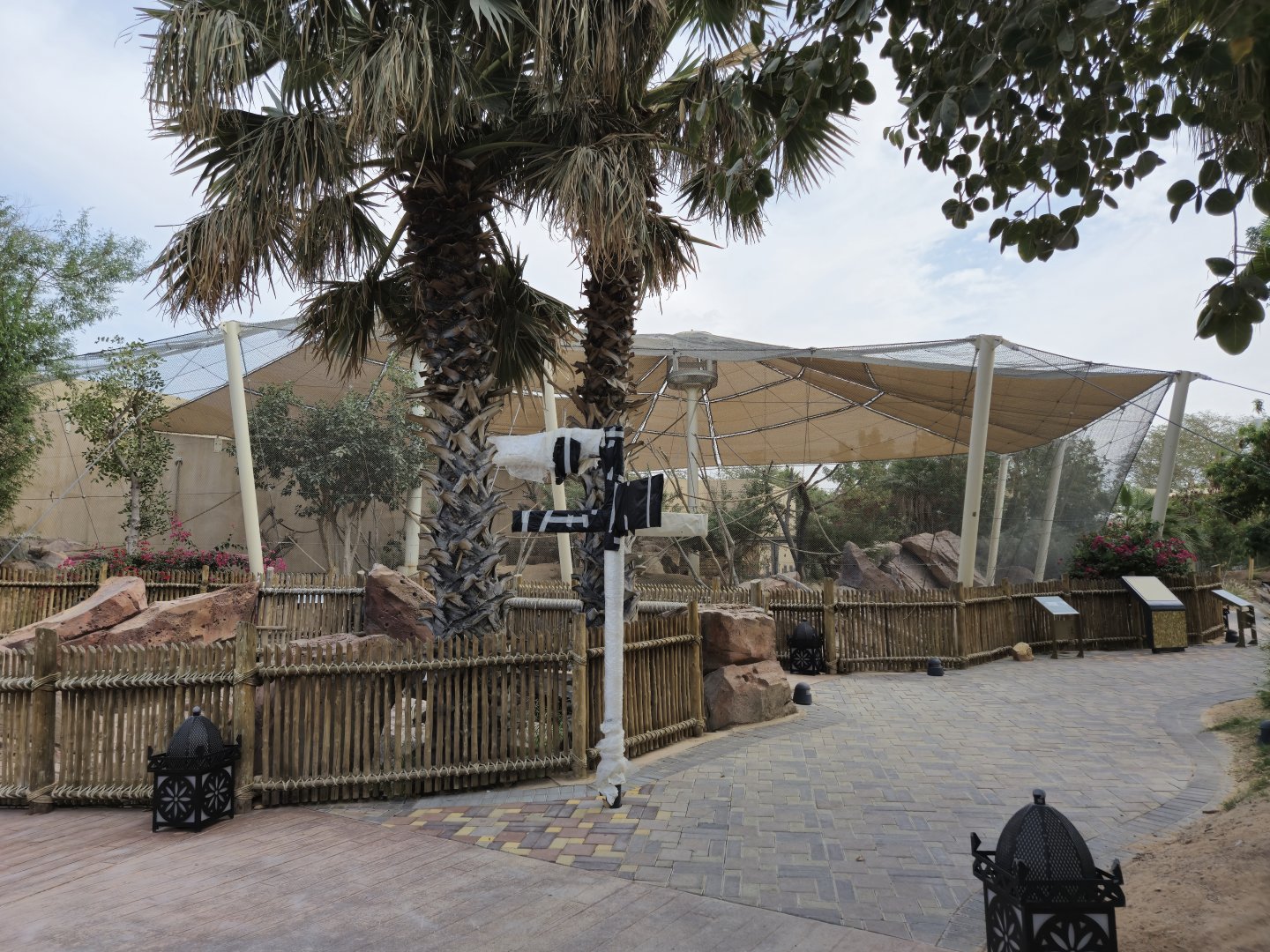 Spotted-necked Otter , Grivet monkey new exhibit