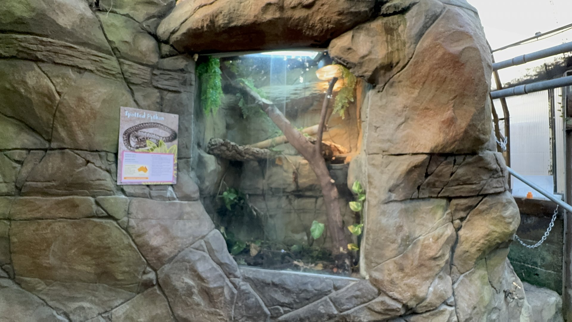 Spotted Python Enclosure at Tropical World (October 2024)