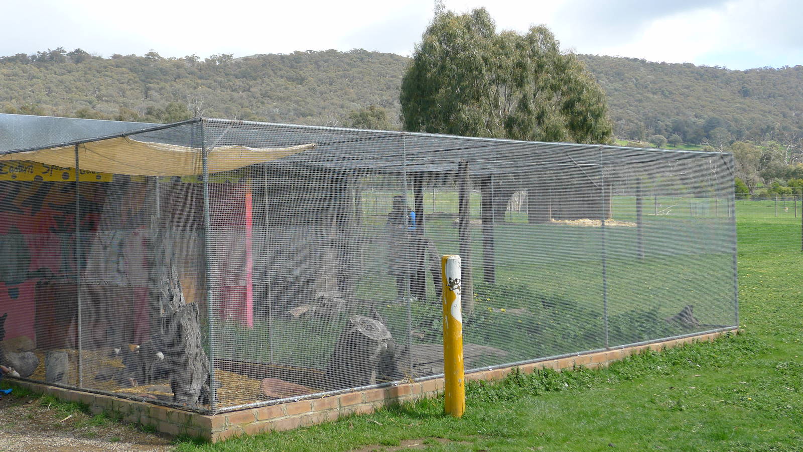 Spotted Quoll enclosure
