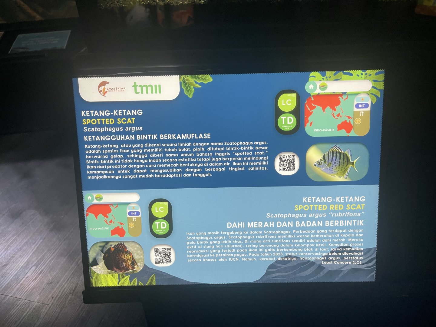 spotted scat signage - dunia air tawar