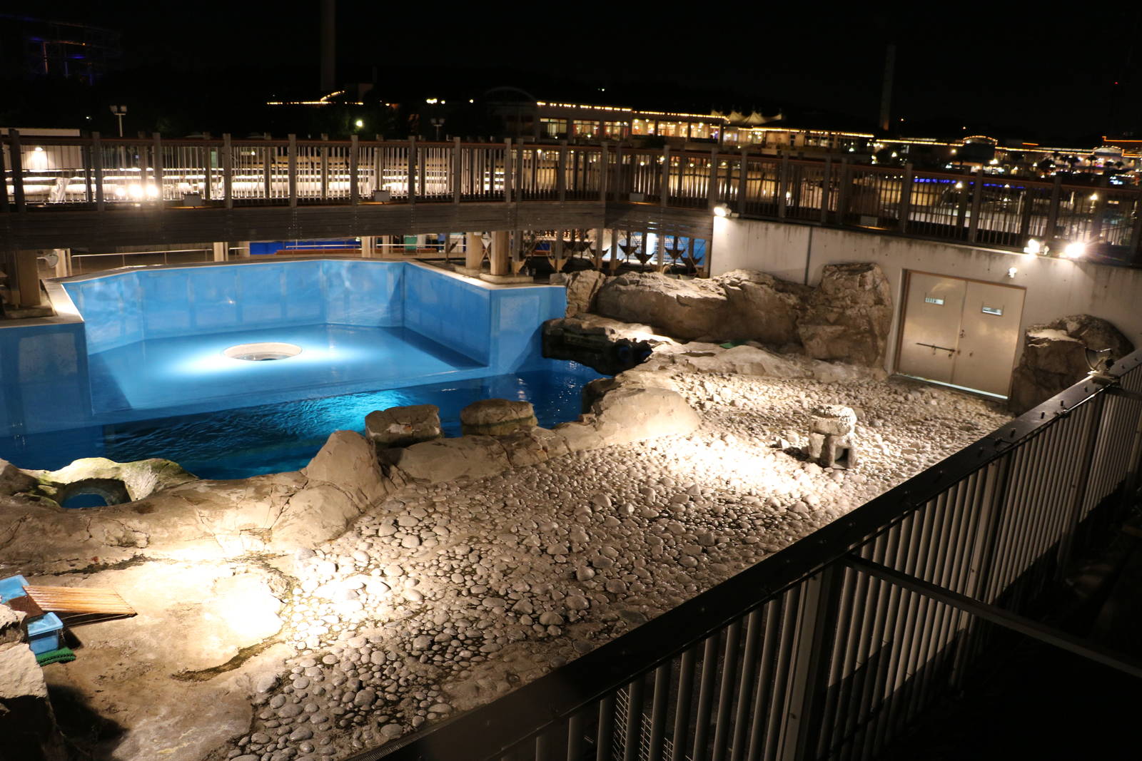 Spotted seal & African penguin enclosure, February 2016
