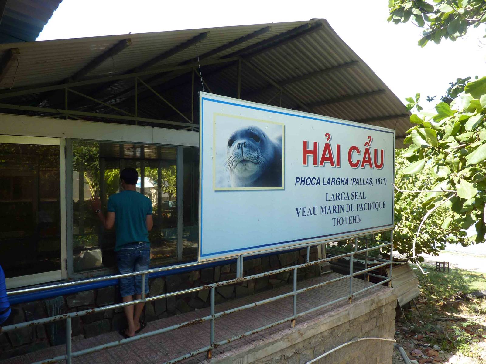 Spotted seal enclosure, May 2013.